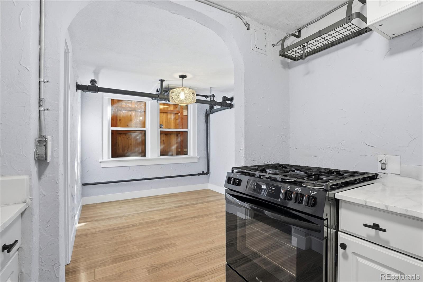 MLS Image #16 for 1010 n downing street,denver, Colorado