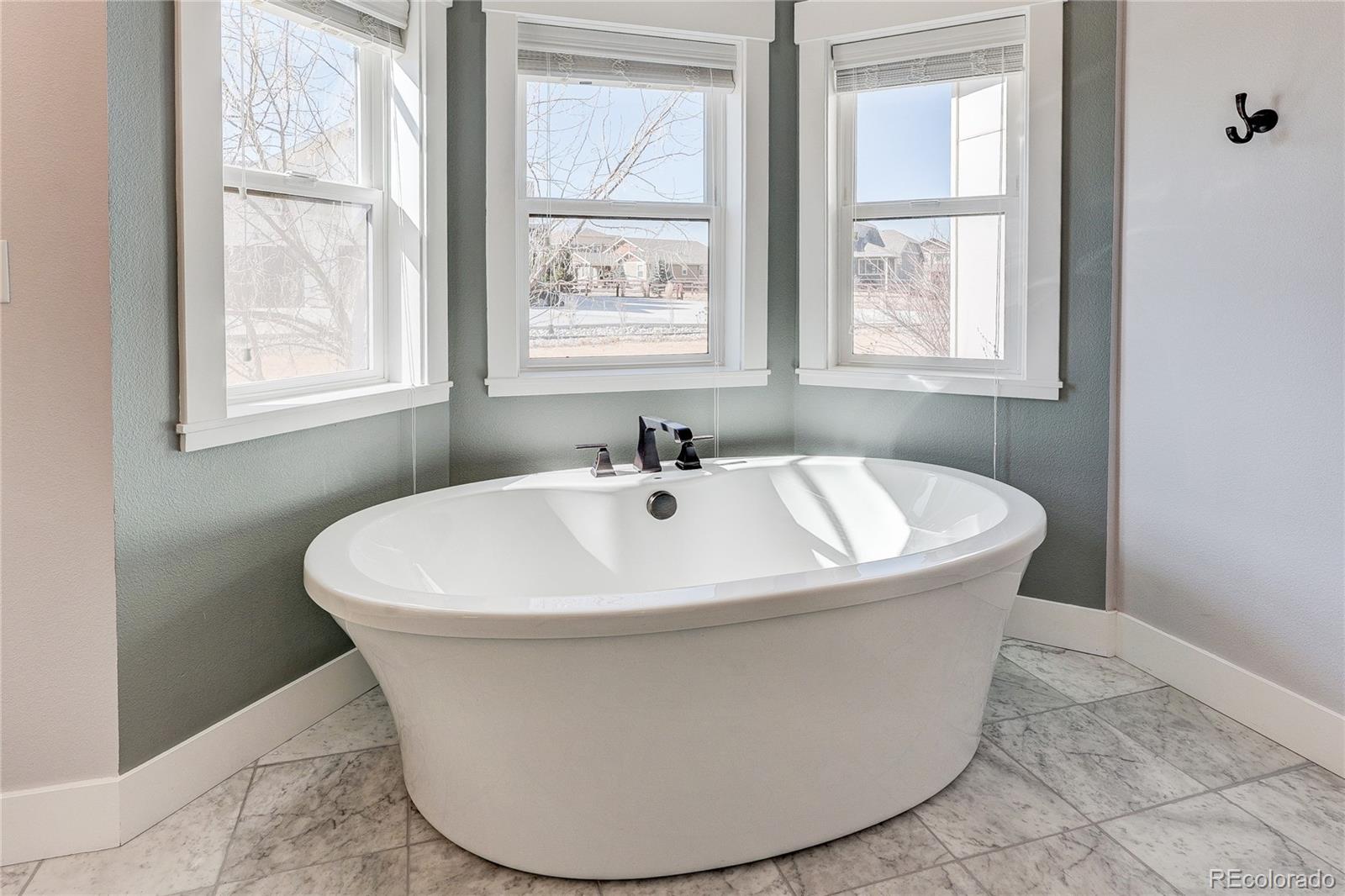 MLS Image #19 for 817  shade tree drive,windsor, Colorado