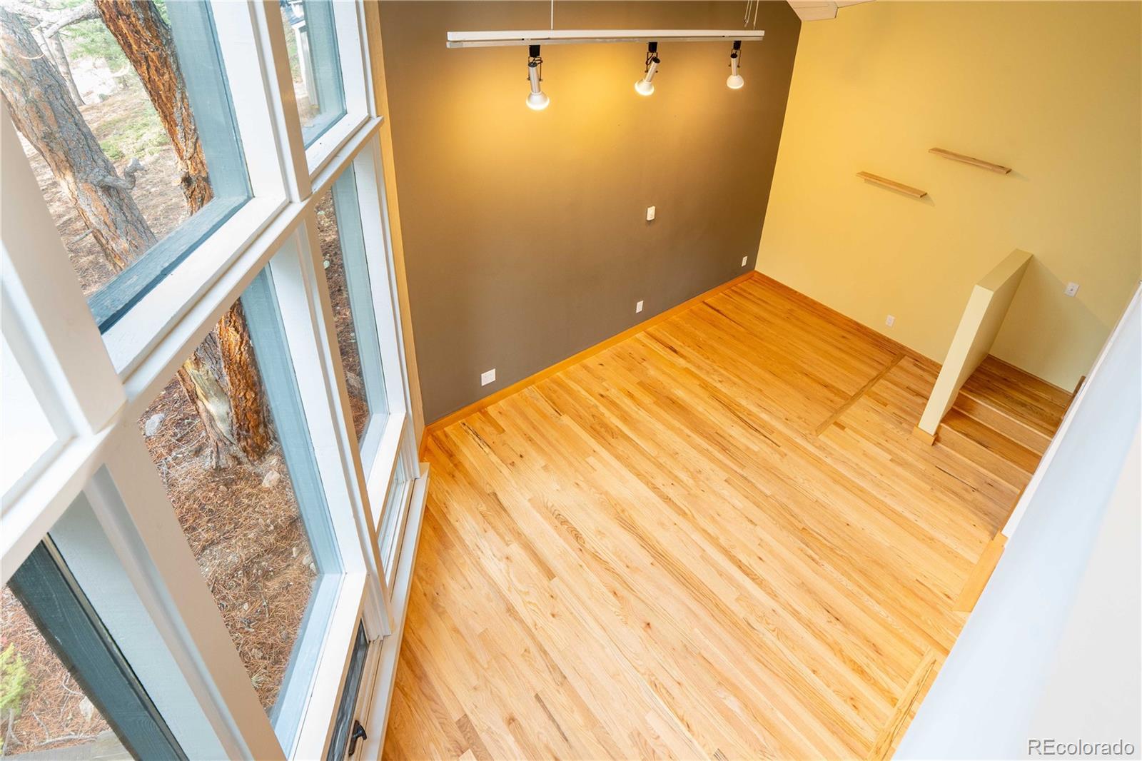 MLS Image #14 for 6346  king road,evergreen, Colorado