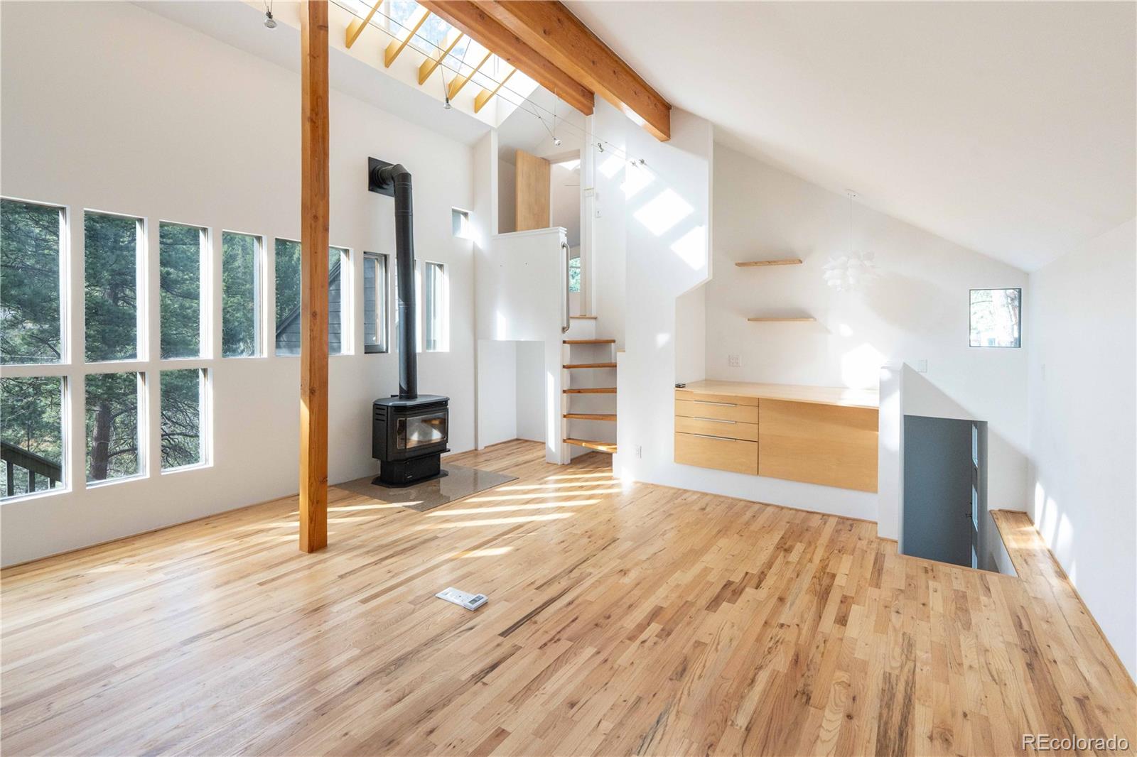 MLS Image #20 for 6346  king road,evergreen, Colorado