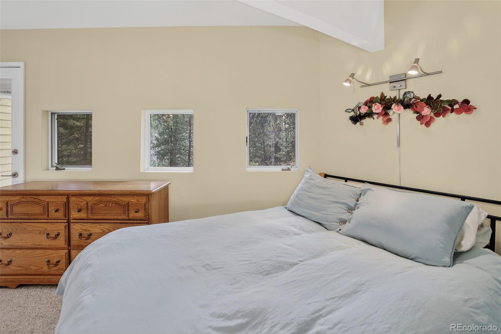 MLS Image #26 for 6346  king road,evergreen, Colorado