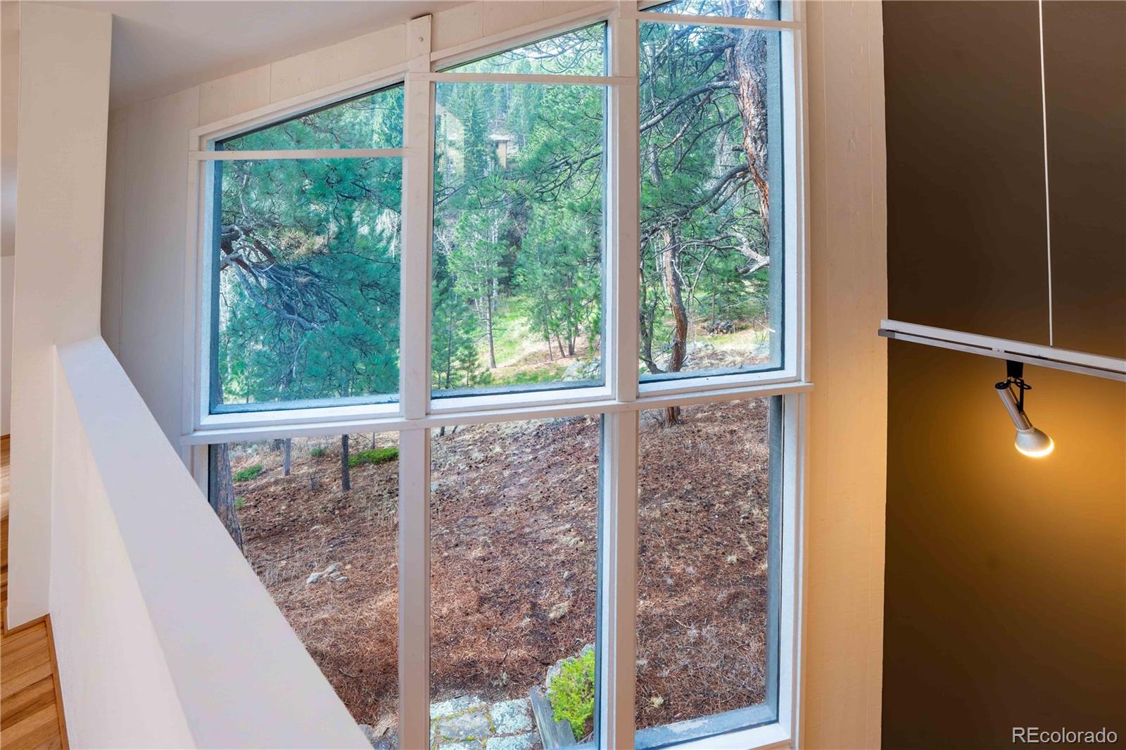 MLS Image #30 for 6346  king road,evergreen, Colorado