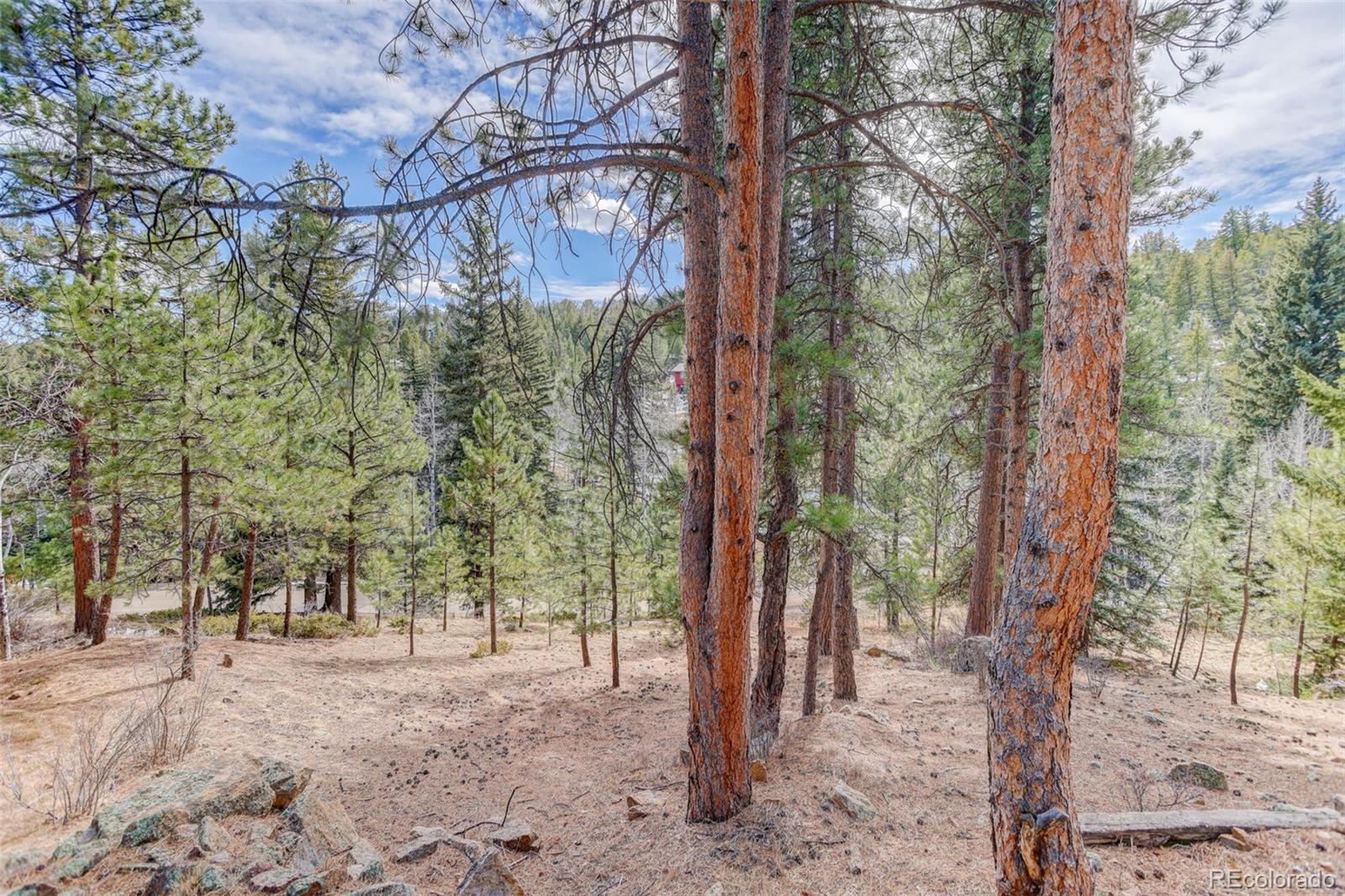 MLS Image #33 for 6346  king road,evergreen, Colorado