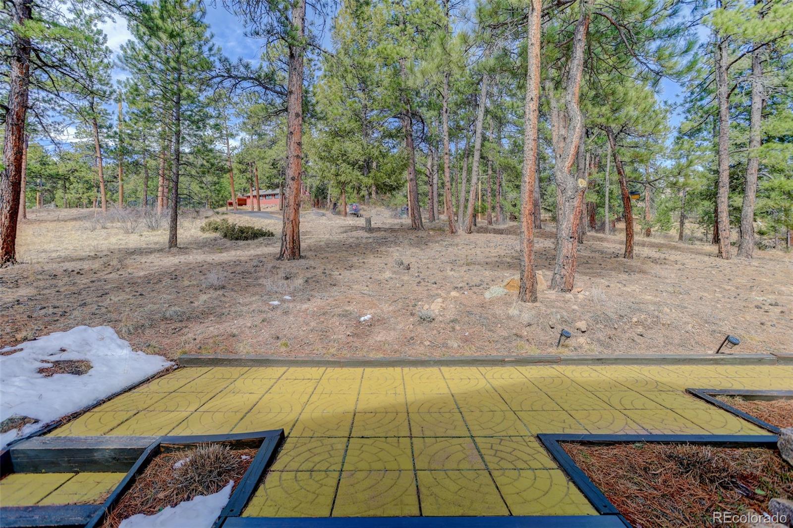 MLS Image #41 for 6346  king road,evergreen, Colorado