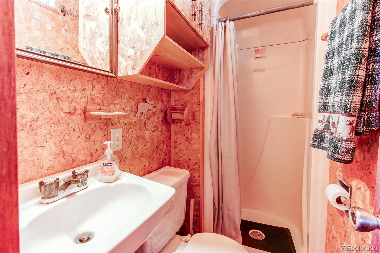 MLS Image #7 for 418  cliff street,westcliffe, Colorado