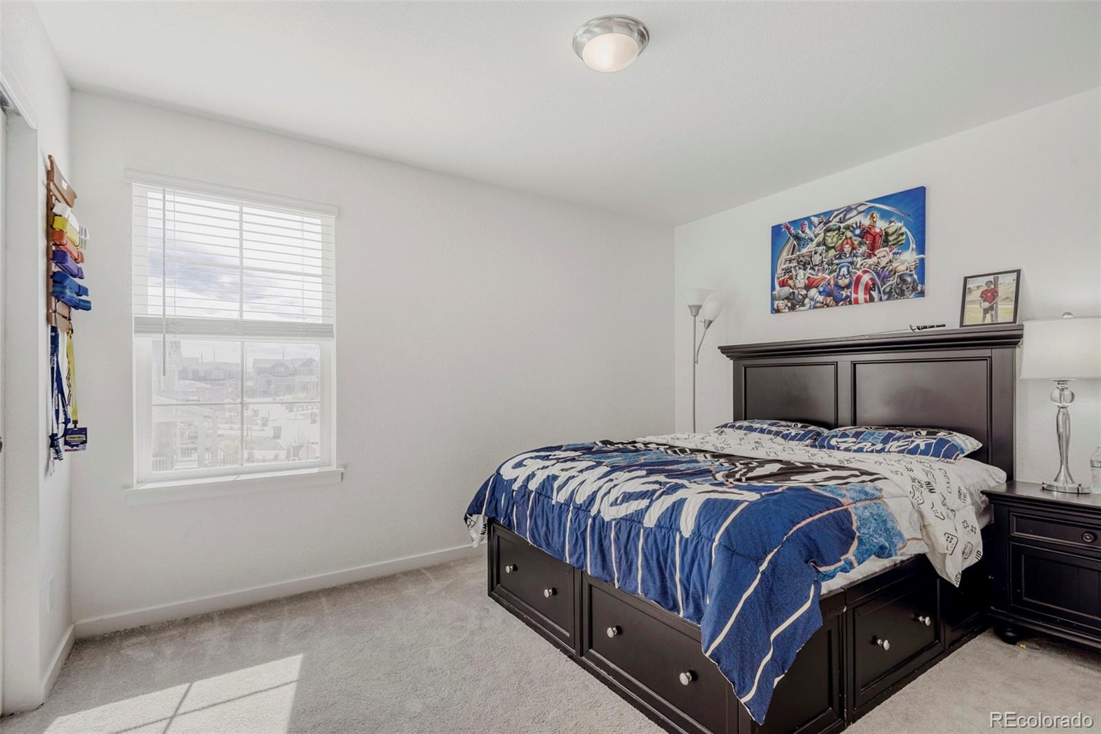 MLS Image #14 for 8986  woodmere court,parker, Colorado
