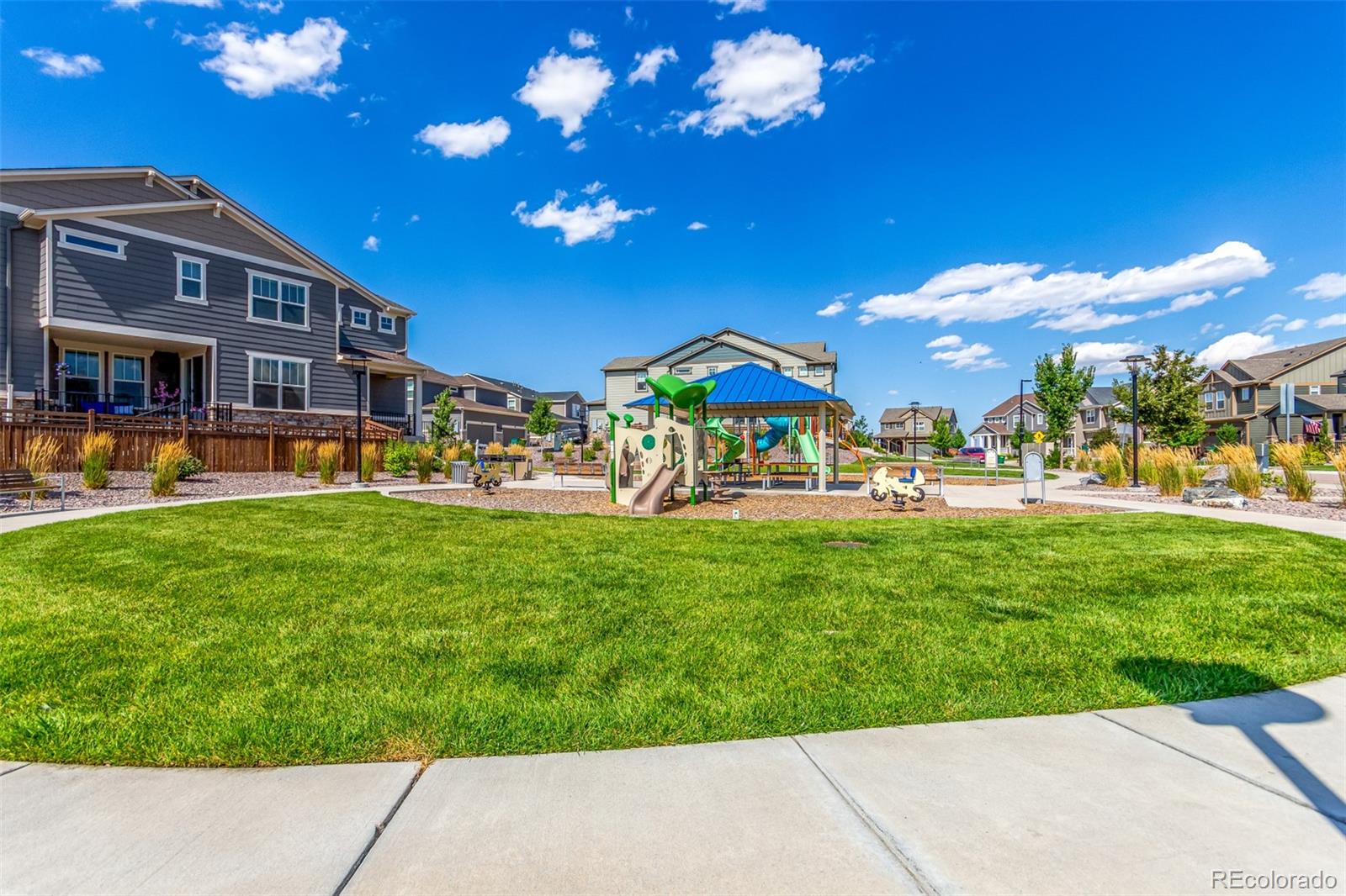 MLS Image #42 for 7153  othello street,castle pines, Colorado