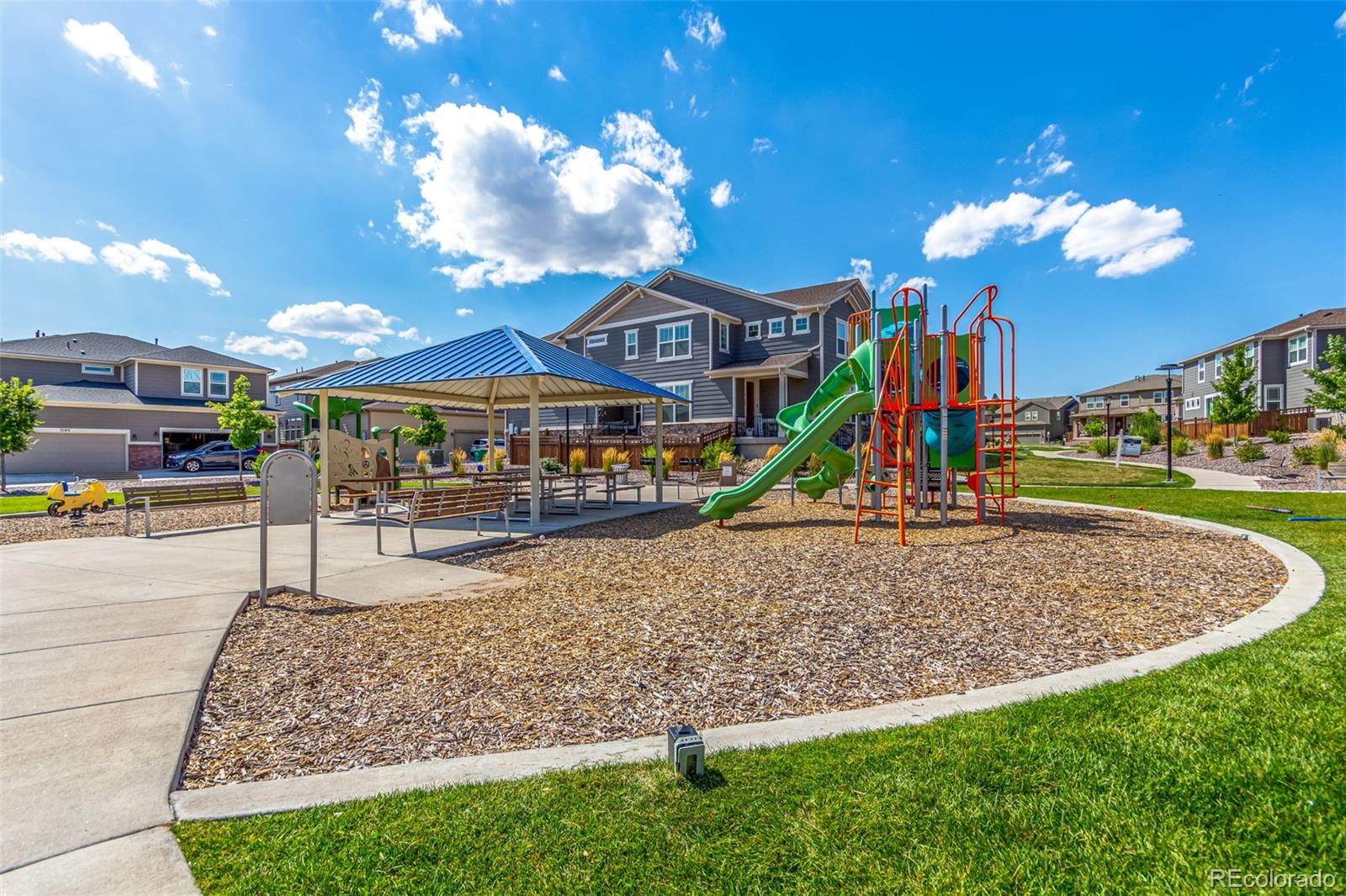 MLS Image #44 for 7153  othello street,castle pines, Colorado