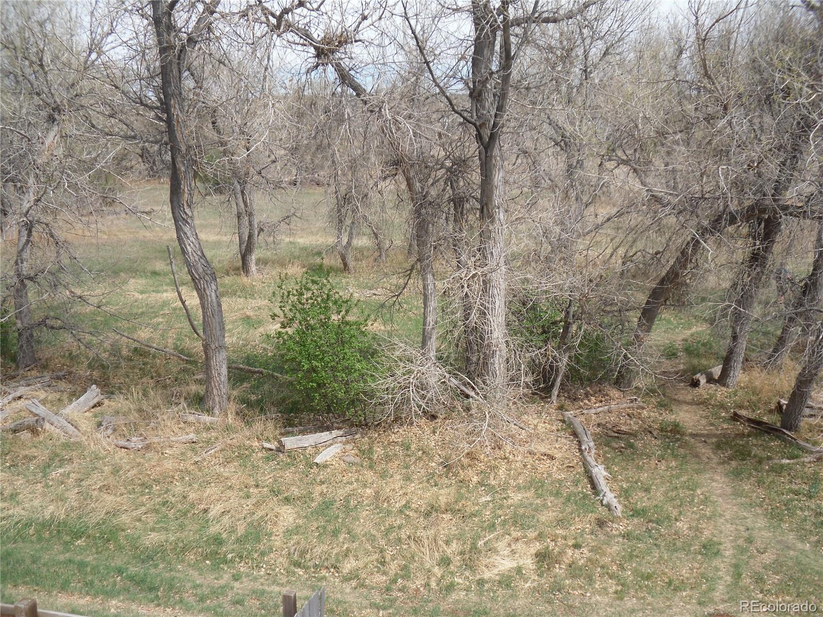 MLS Image #22 for 7726 s kittredge court,englewood, Colorado