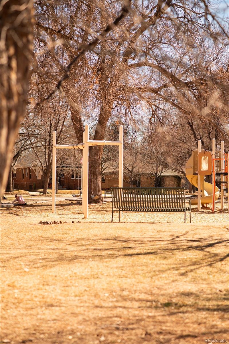 MLS Image #37 for 438 n downing street,denver, Colorado