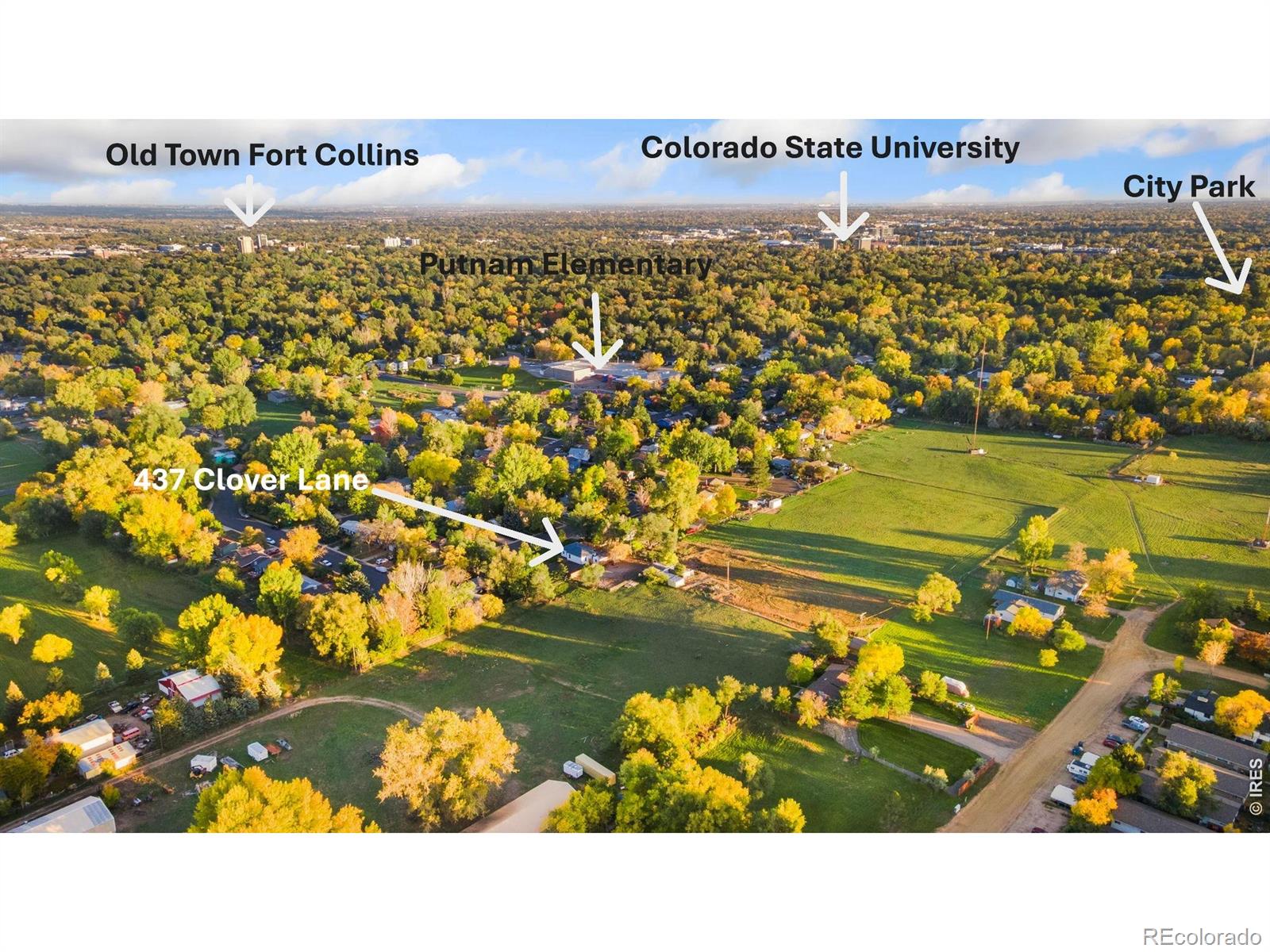 MLS Image #18 for 437  clover lane,fort collins, Colorado