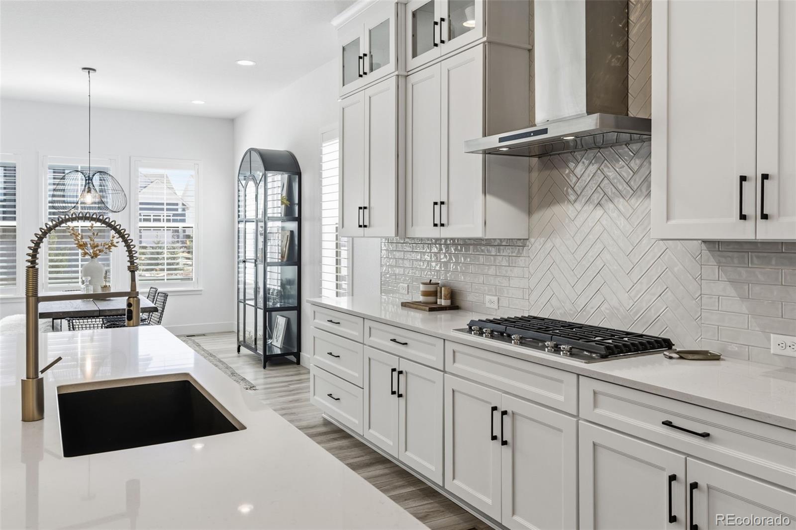 MLS Image #18 for 11374  autumn moon street,littleton, Colorado
