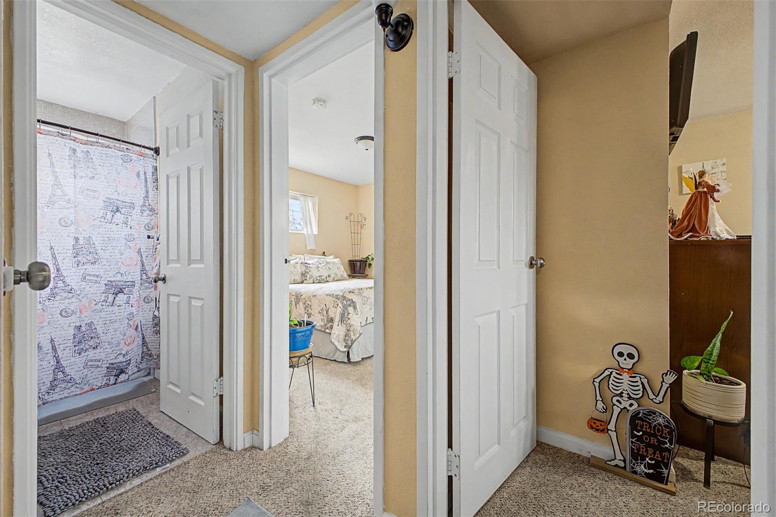 MLS Image #19 for 1050  russell boulevard,thornton, Colorado