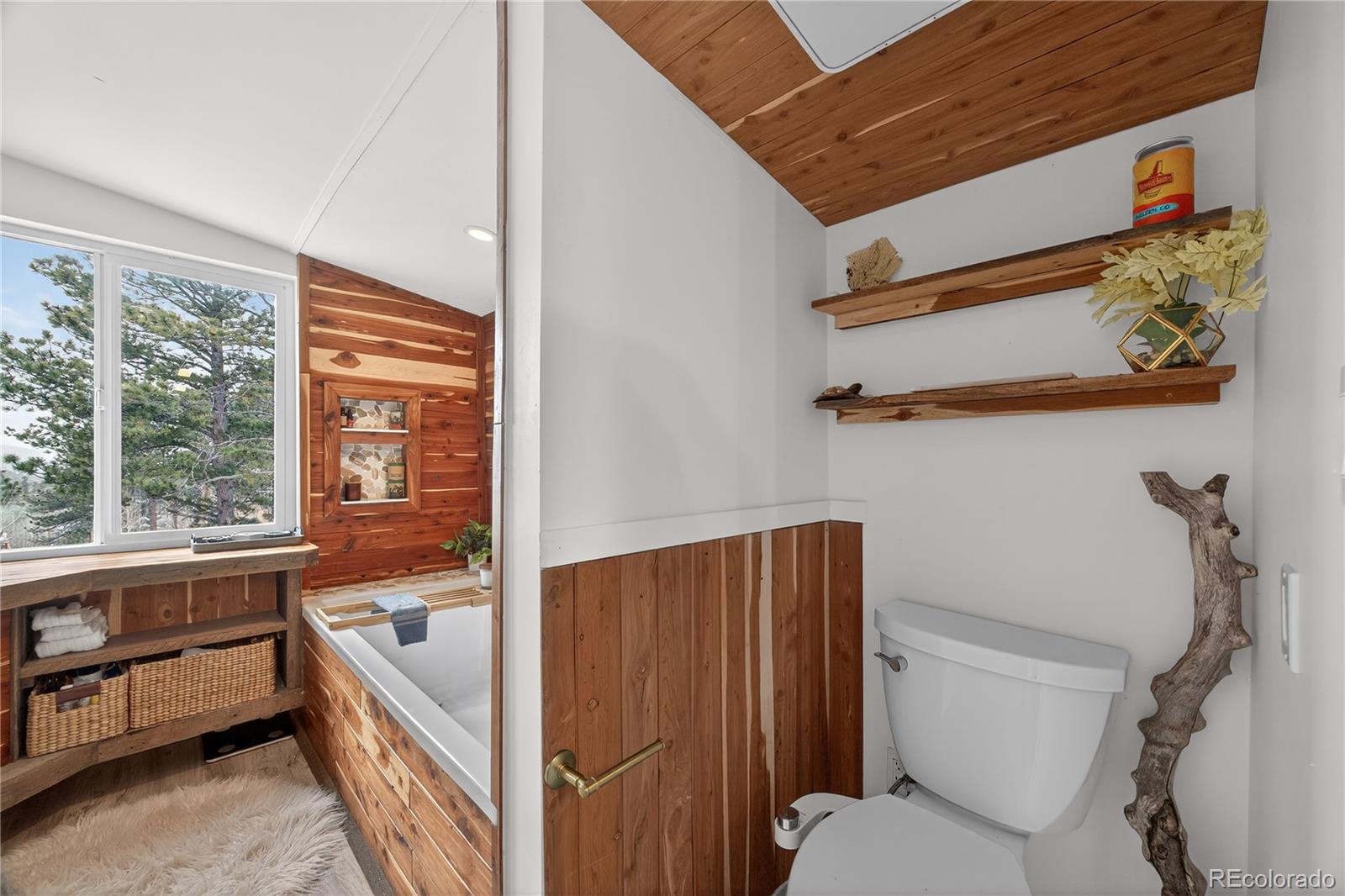 MLS Image #21 for 24  signal rock road,golden, Colorado