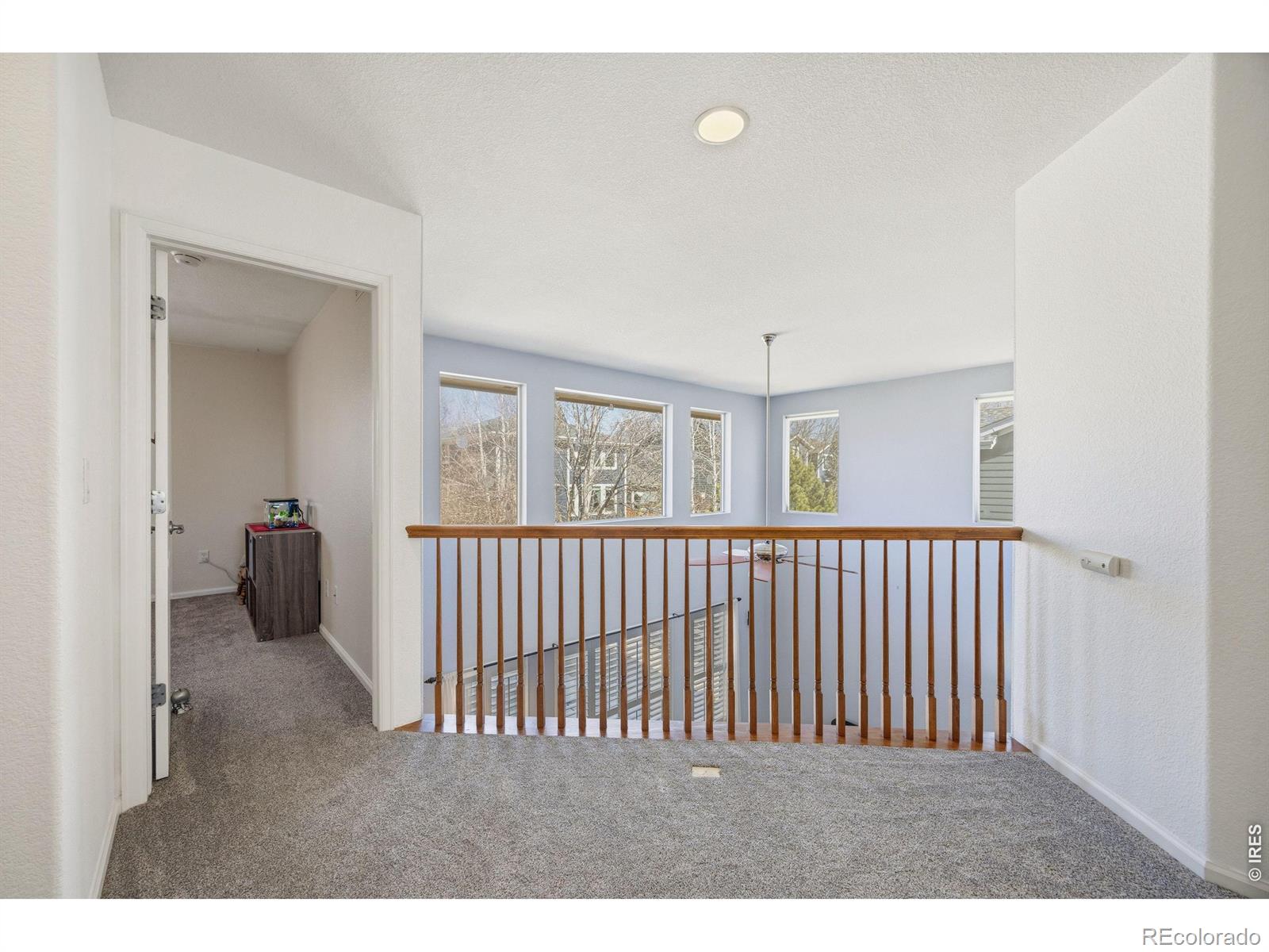 MLS Image #22 for 2202  harvest street,fort collins, Colorado