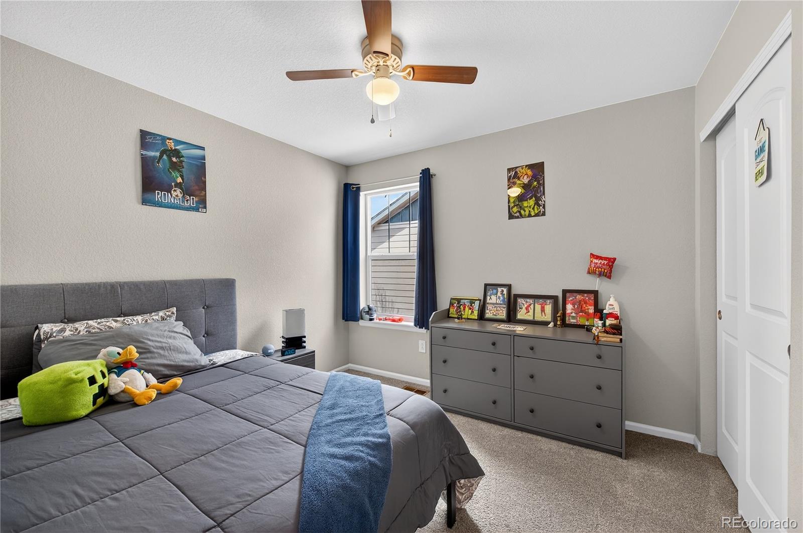 MLS Image #18 for 3318  emily street,castle rock, Colorado