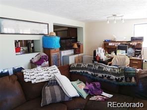 MLS Image #13 for 10795  county road 197 a unit 105 ,nathrop, Colorado