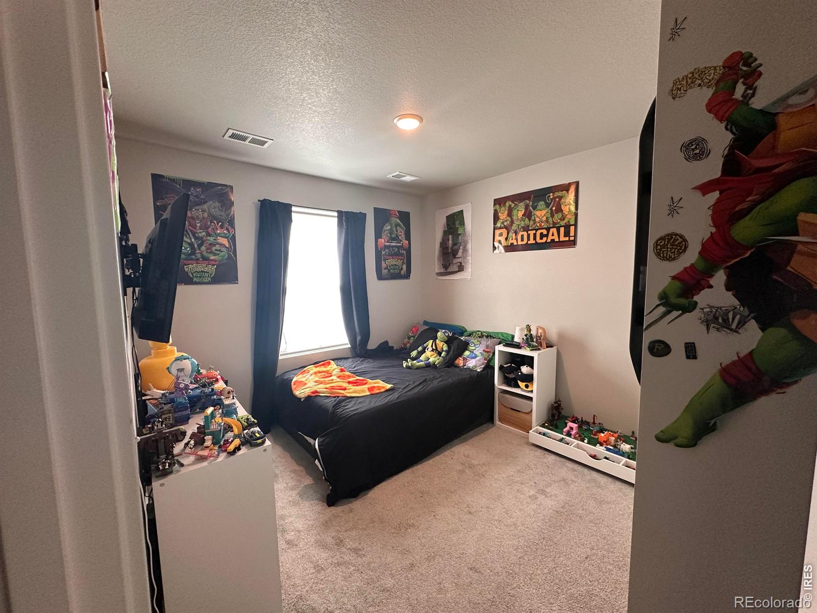 MLS Image #6 for 331  lone pine street,fort lupton, Colorado