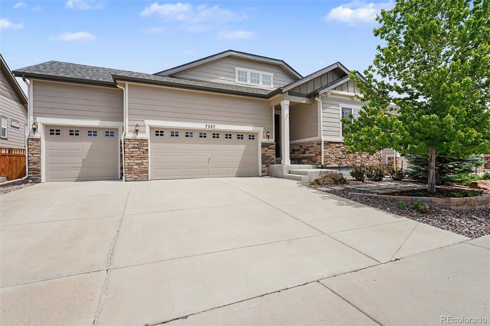 MLS Image #0 for 7287  greenwater circle,castle rock, Colorado