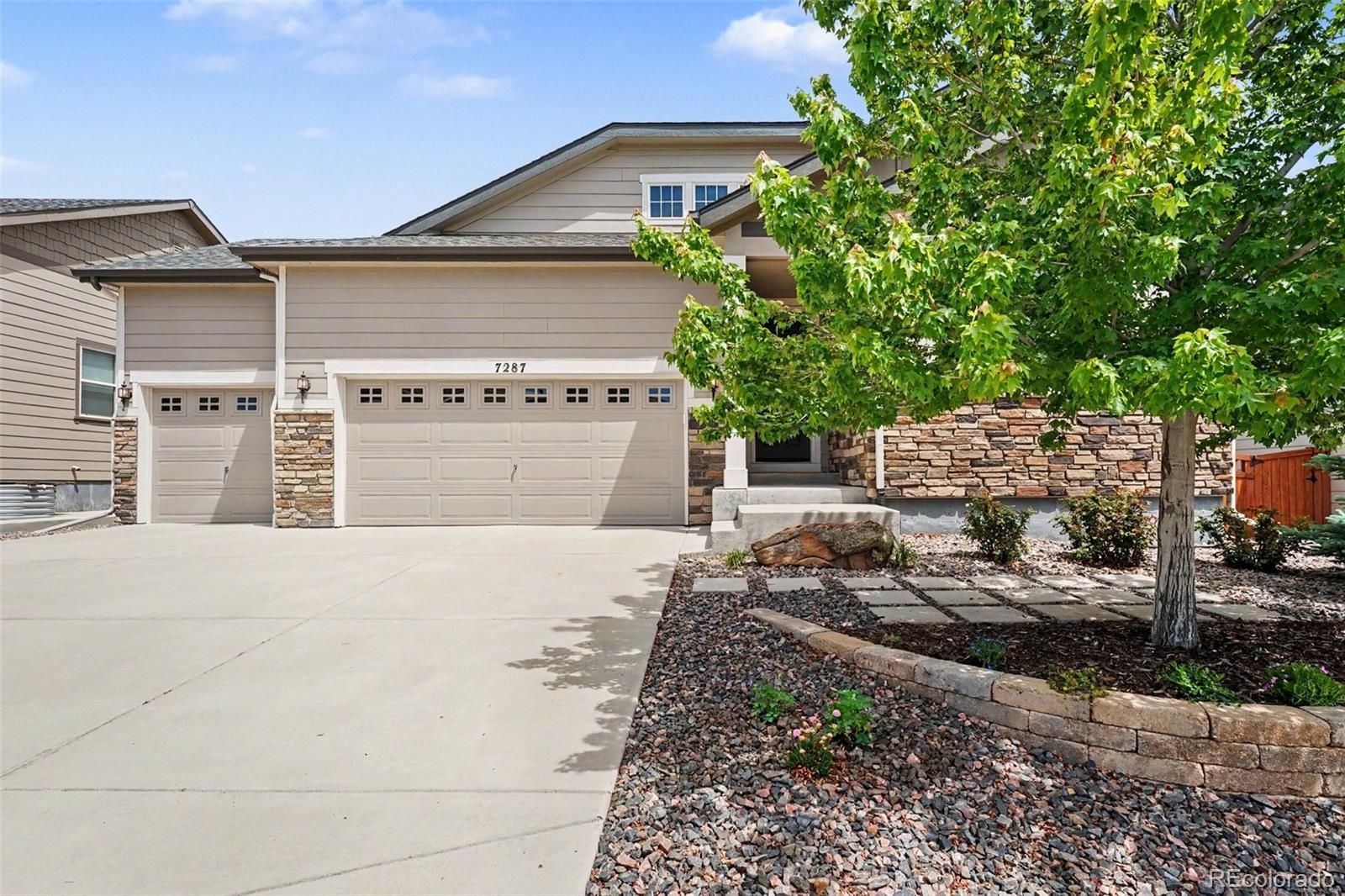 MLS Image #1 for 7287  greenwater circle,castle rock, Colorado