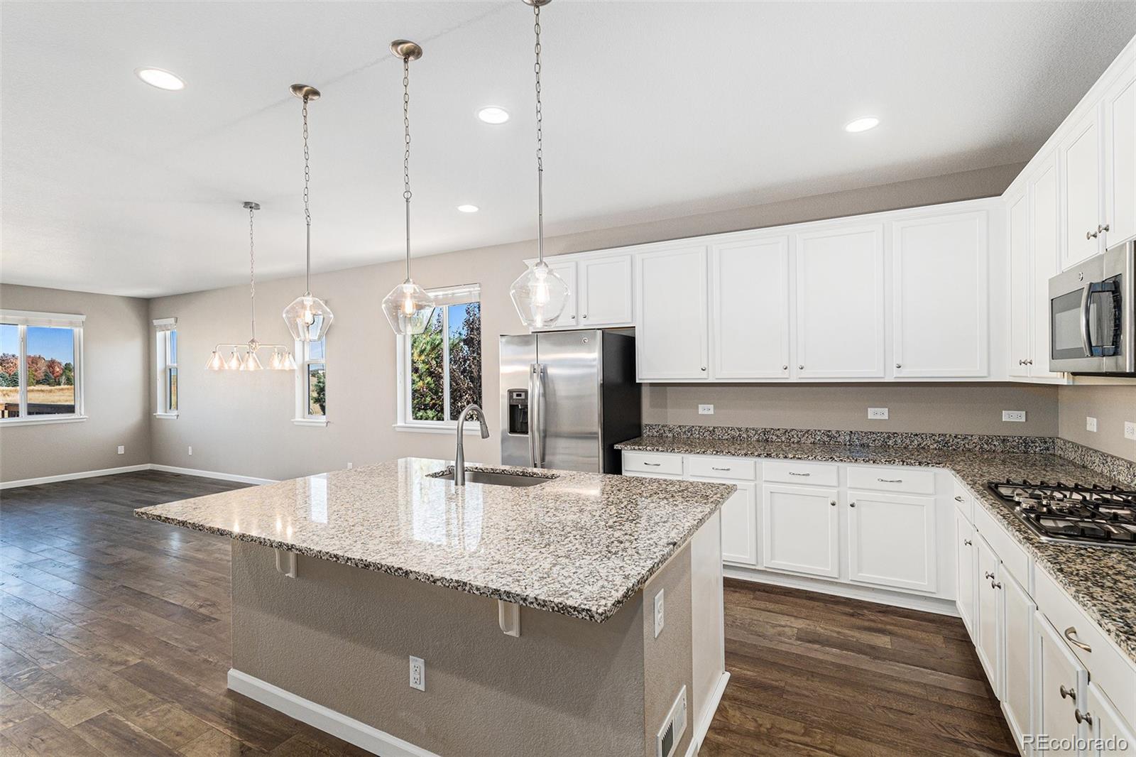 MLS Image #12 for 7287  greenwater circle,castle rock, Colorado