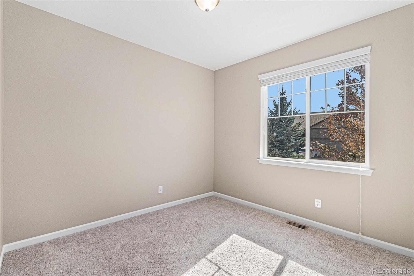 MLS Image #23 for 7287  greenwater circle,castle rock, Colorado