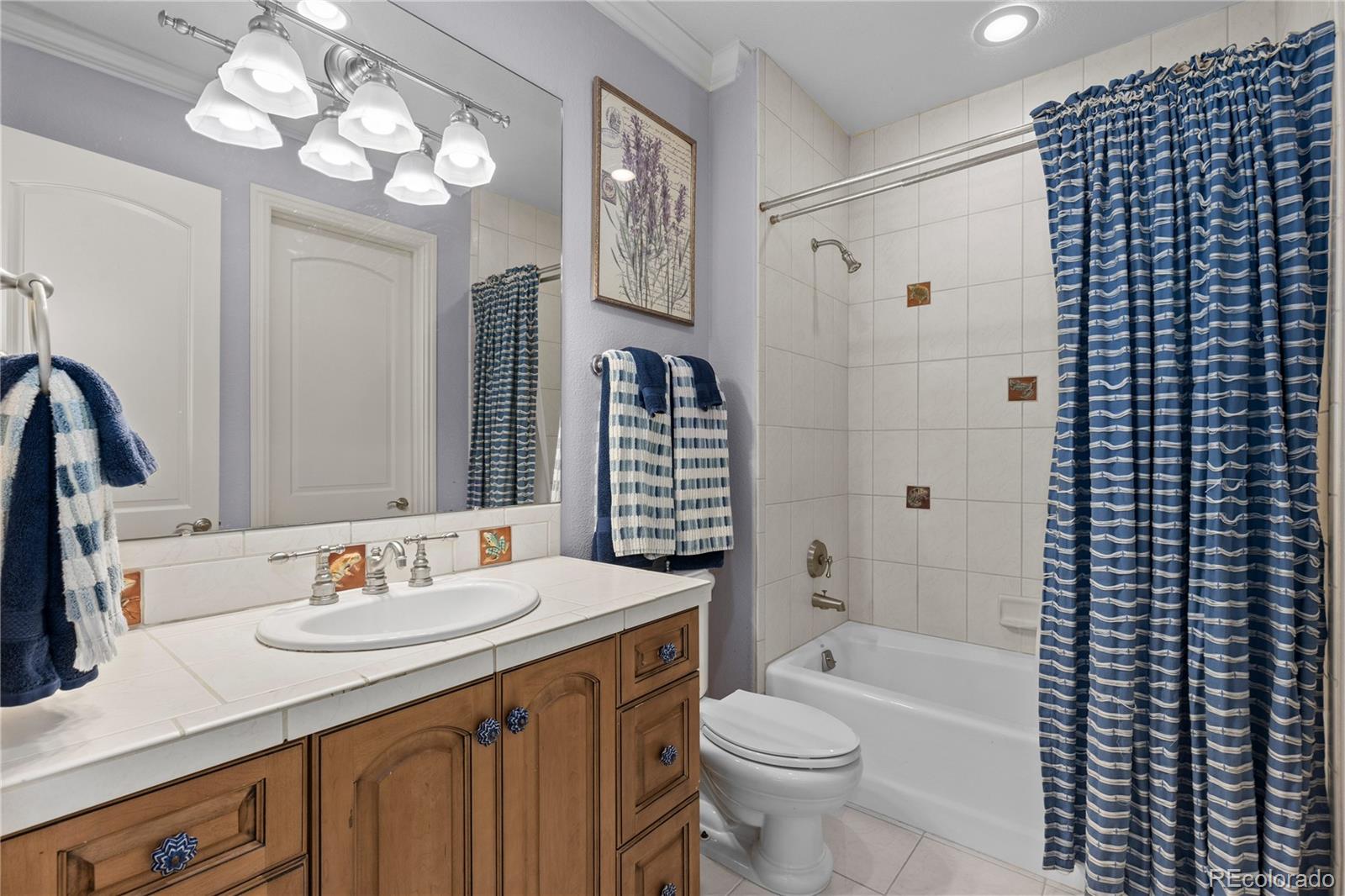 MLS Image #25 for 331  paragon way,castle rock, Colorado
