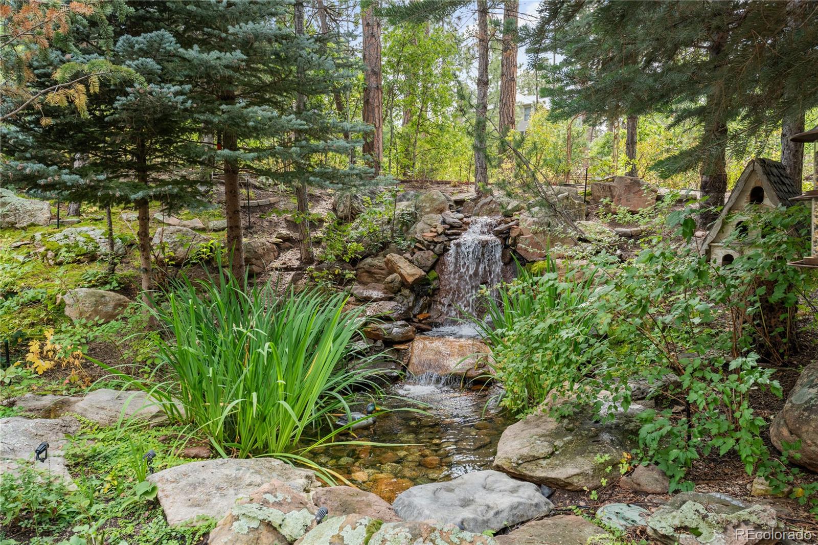 MLS Image #40 for 331  paragon way,castle rock, Colorado