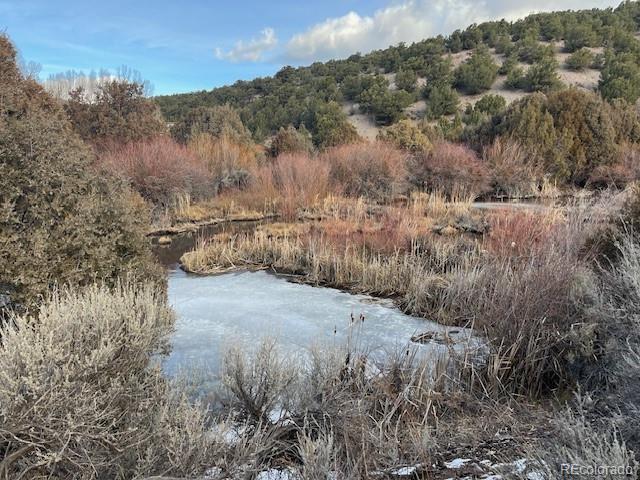 MLS Image #45 for 7541  indian creek road,fort garland, Colorado
