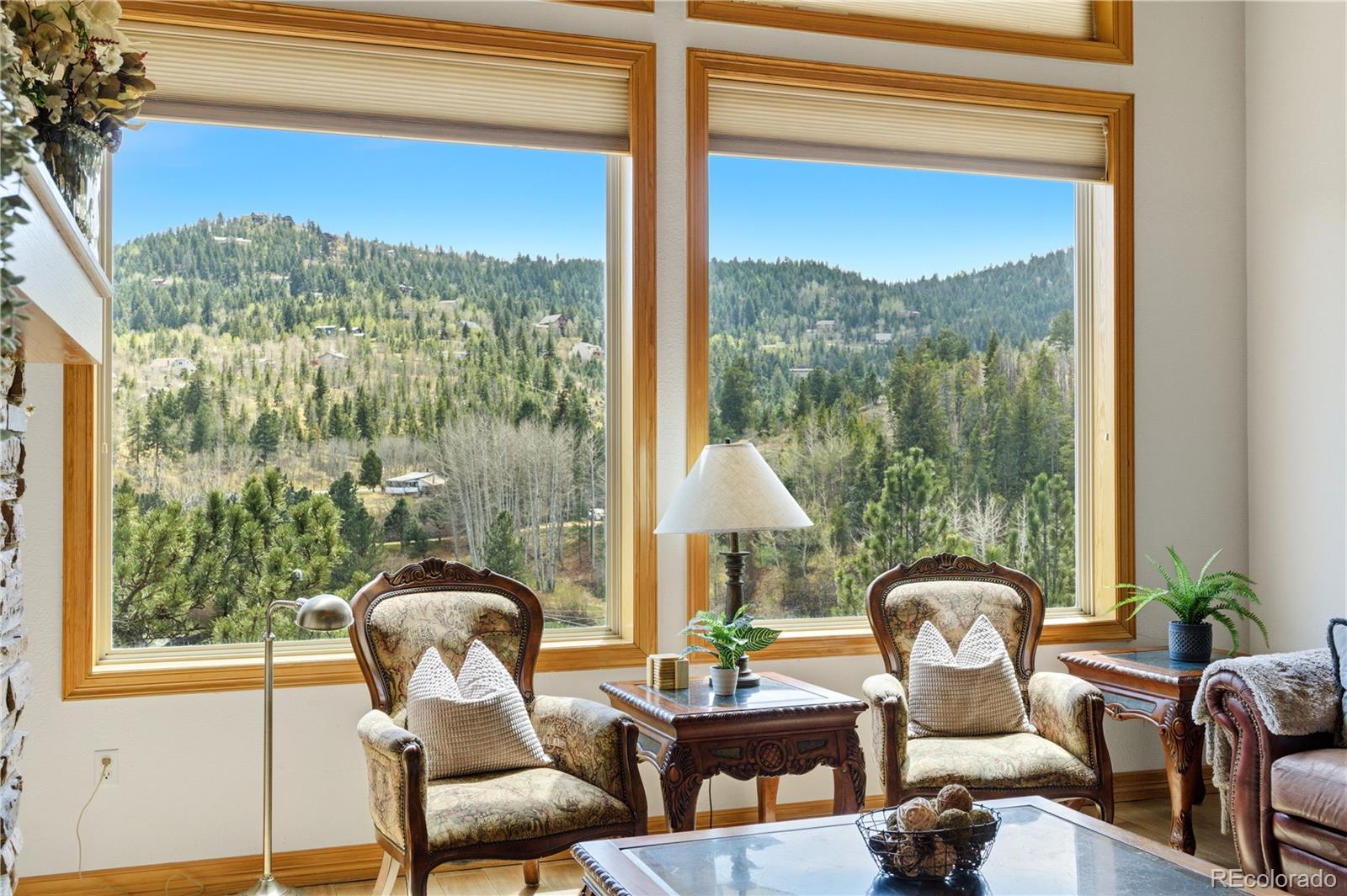 MLS Image #18 for 9659 s turkey creek road,morrison, Colorado
