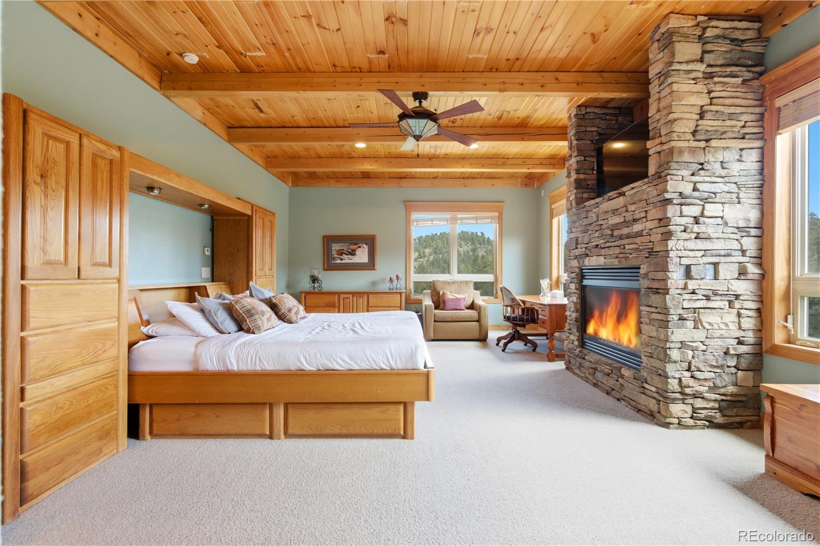 MLS Image #19 for 9659 s turkey creek road,morrison, Colorado