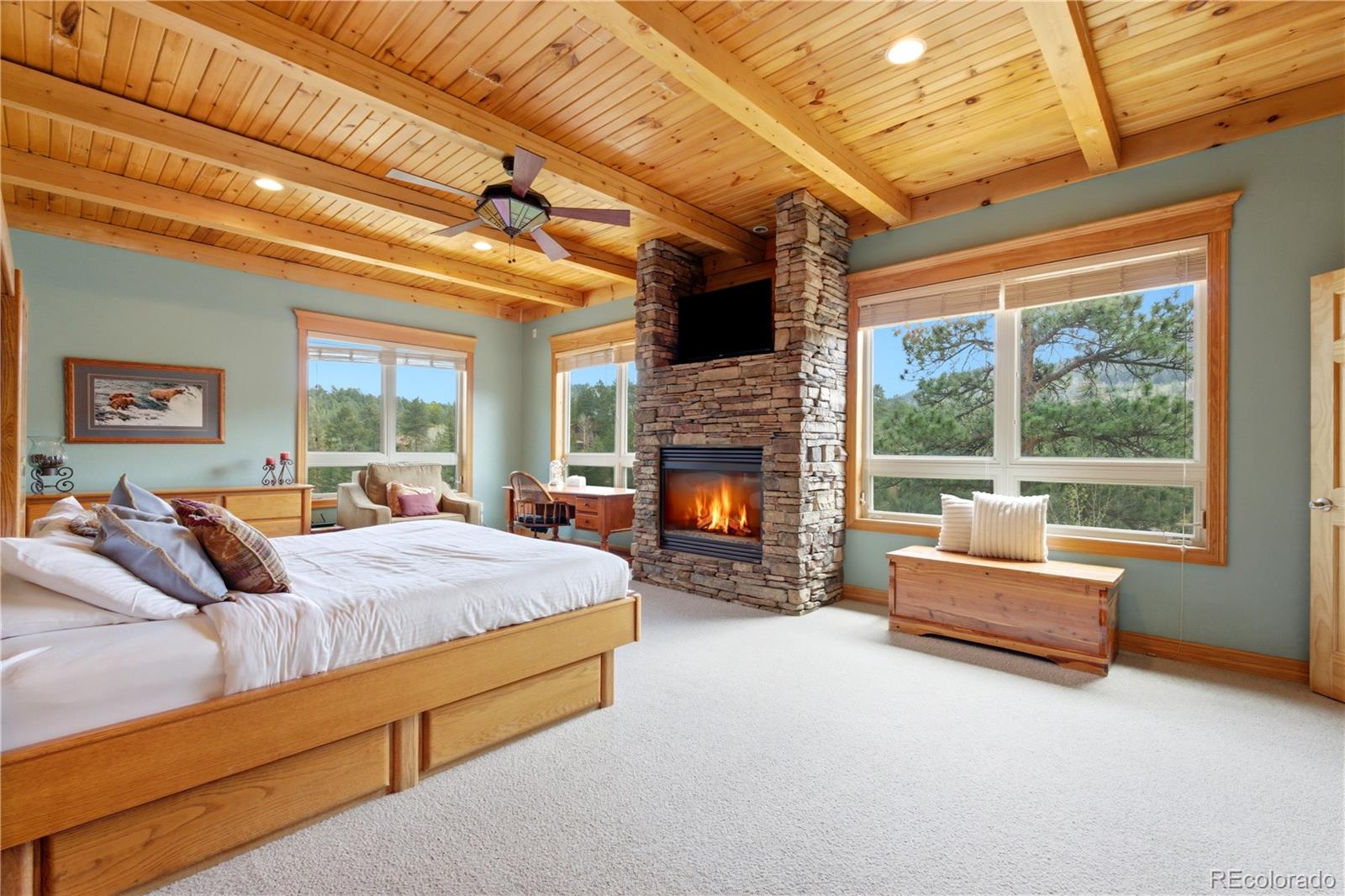 MLS Image #2 for 9659 s turkey creek road,morrison, Colorado