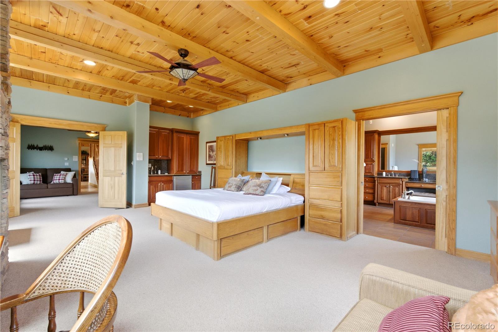 MLS Image #21 for 9659 s turkey creek road,morrison, Colorado