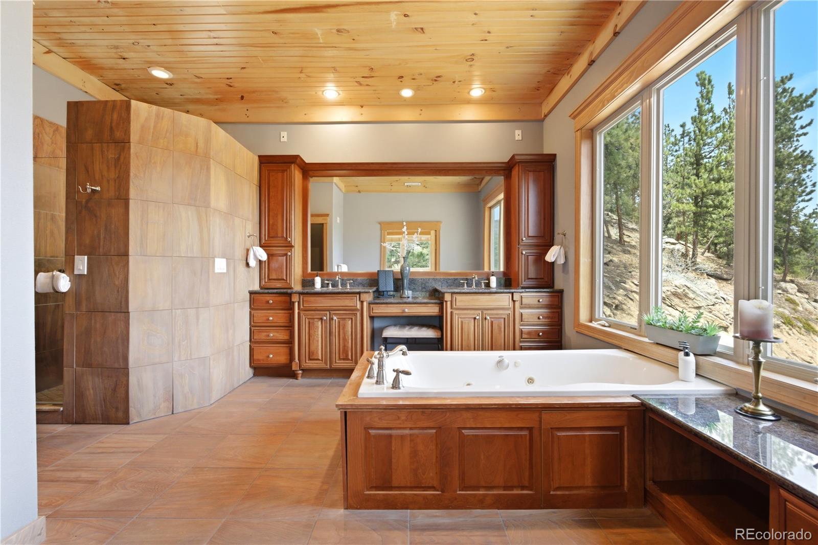 MLS Image #23 for 9659 s turkey creek road,morrison, Colorado