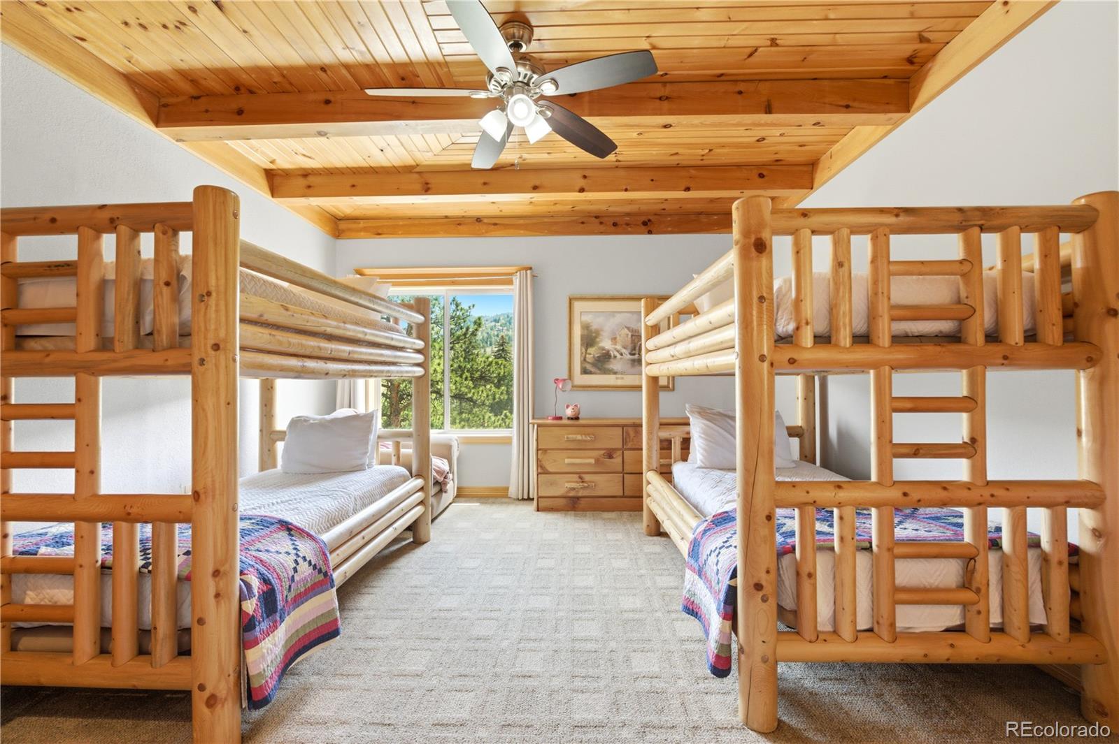 MLS Image #35 for 9659 s turkey creek road,morrison, Colorado