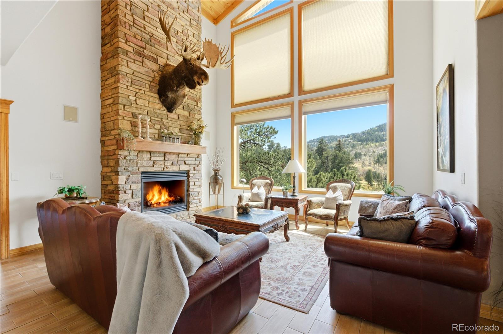 MLS Image #4 for 9659 s turkey creek road,morrison, Colorado