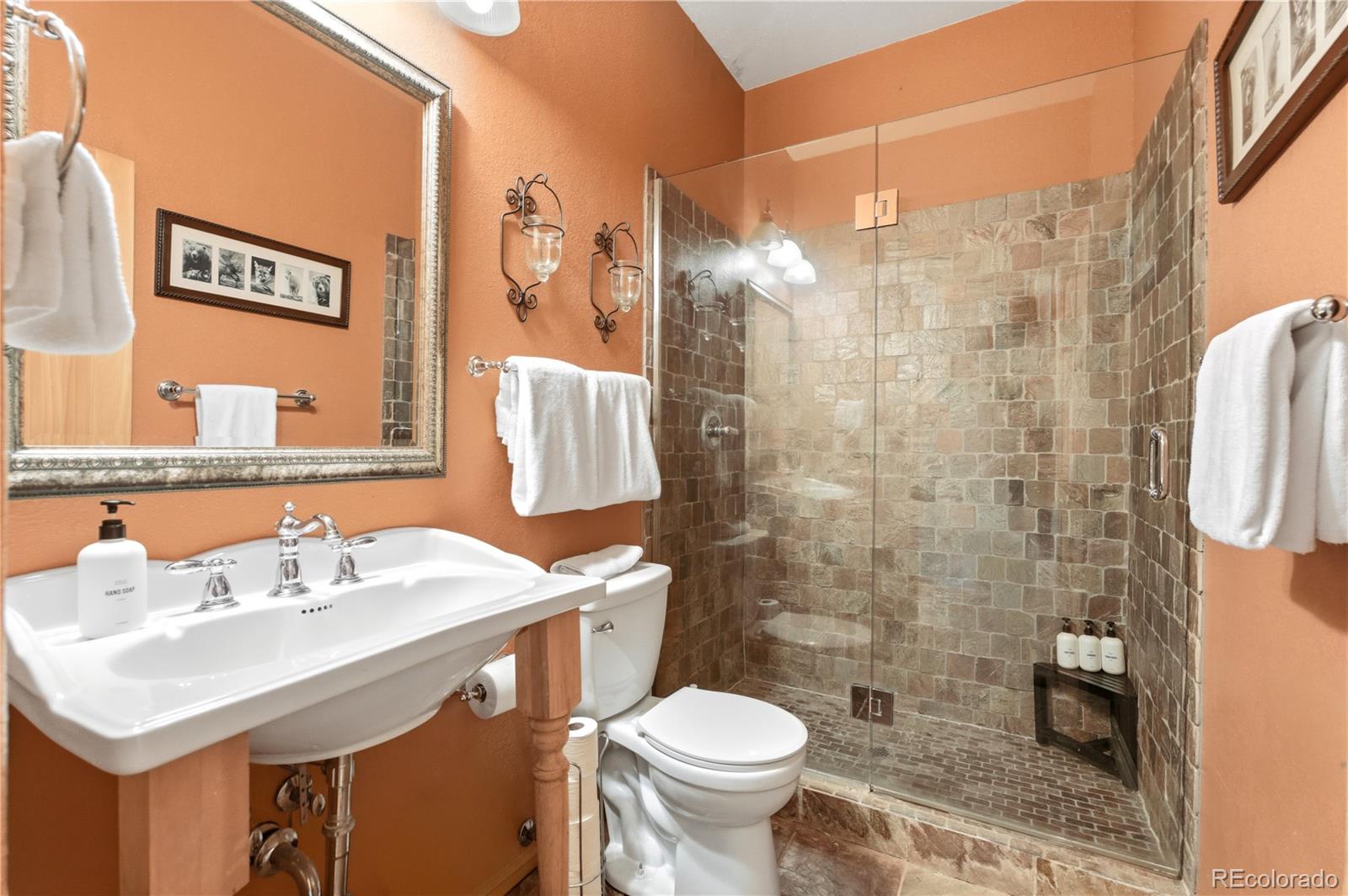 MLS Image #41 for 9659 s turkey creek road,morrison, Colorado