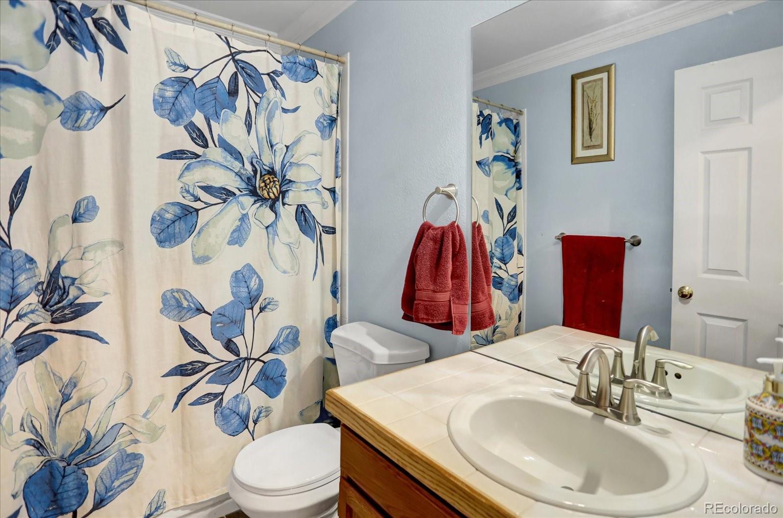 MLS Image #19 for 2894 w long circle,littleton, Colorado