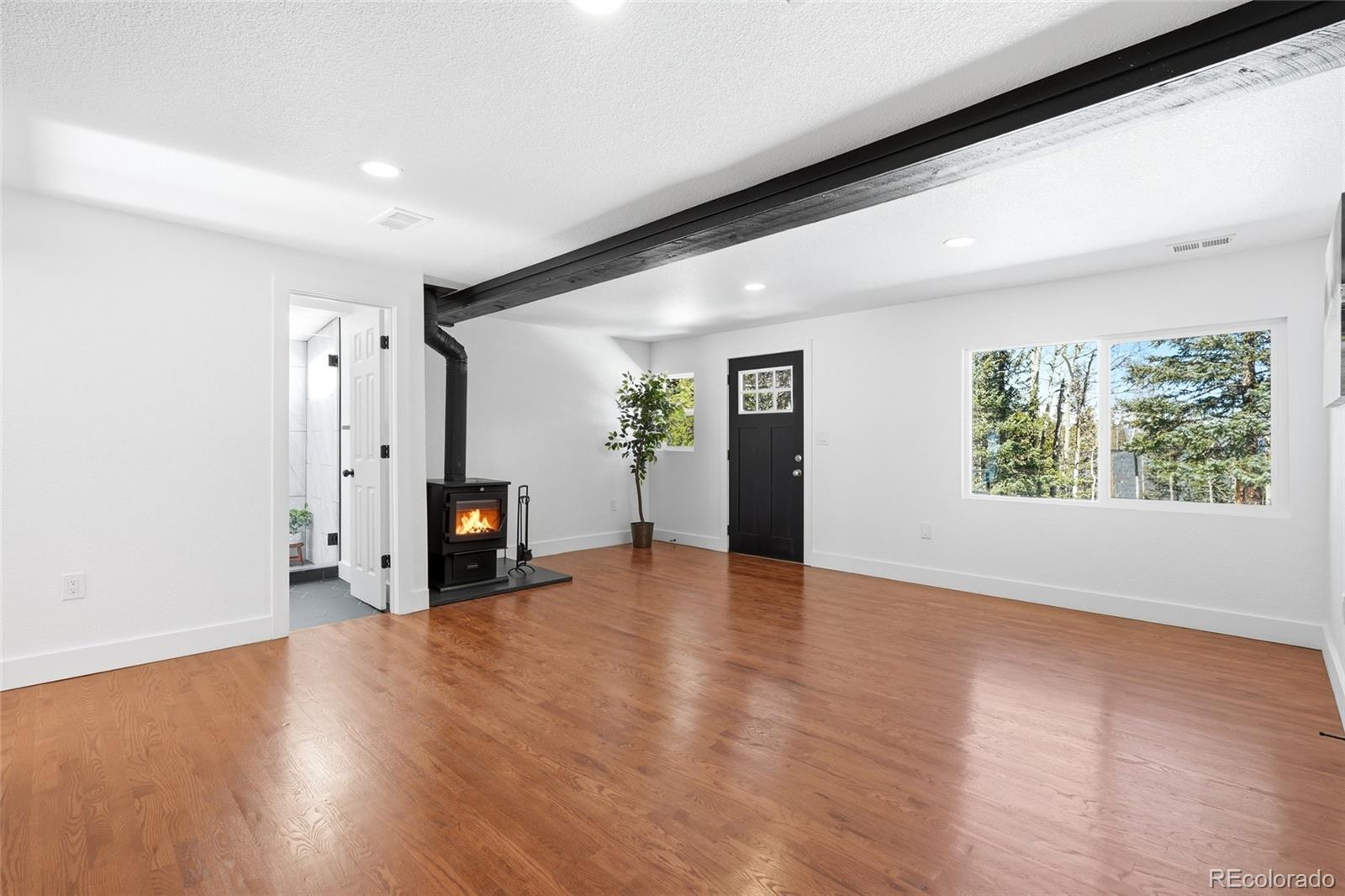 MLS Image #8 for 1645  little bear creek road,idaho springs, Colorado