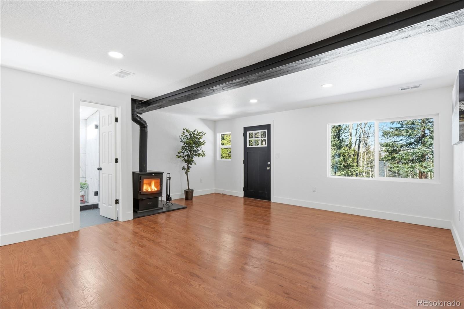 MLS Image #9 for 1645  little bear creek road,idaho springs, Colorado