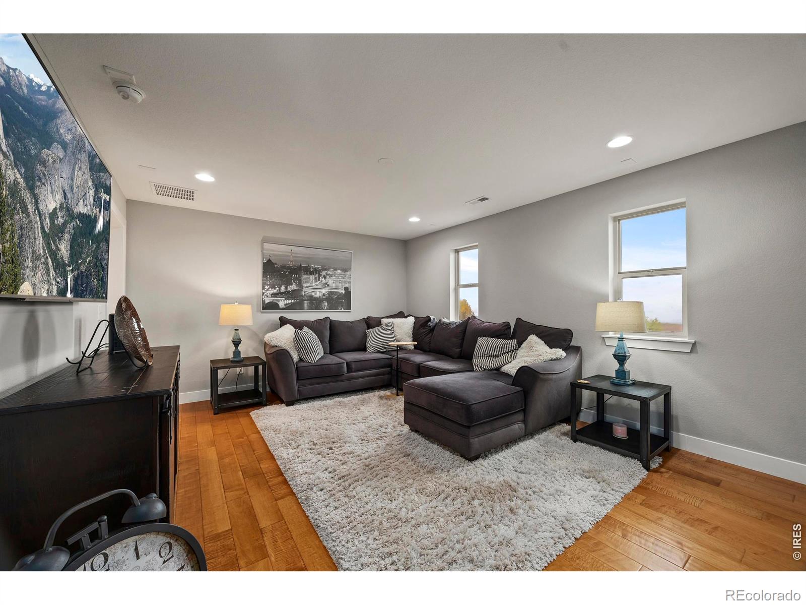 MLS Image #20 for 2572  bluestem willow drive,loveland, Colorado