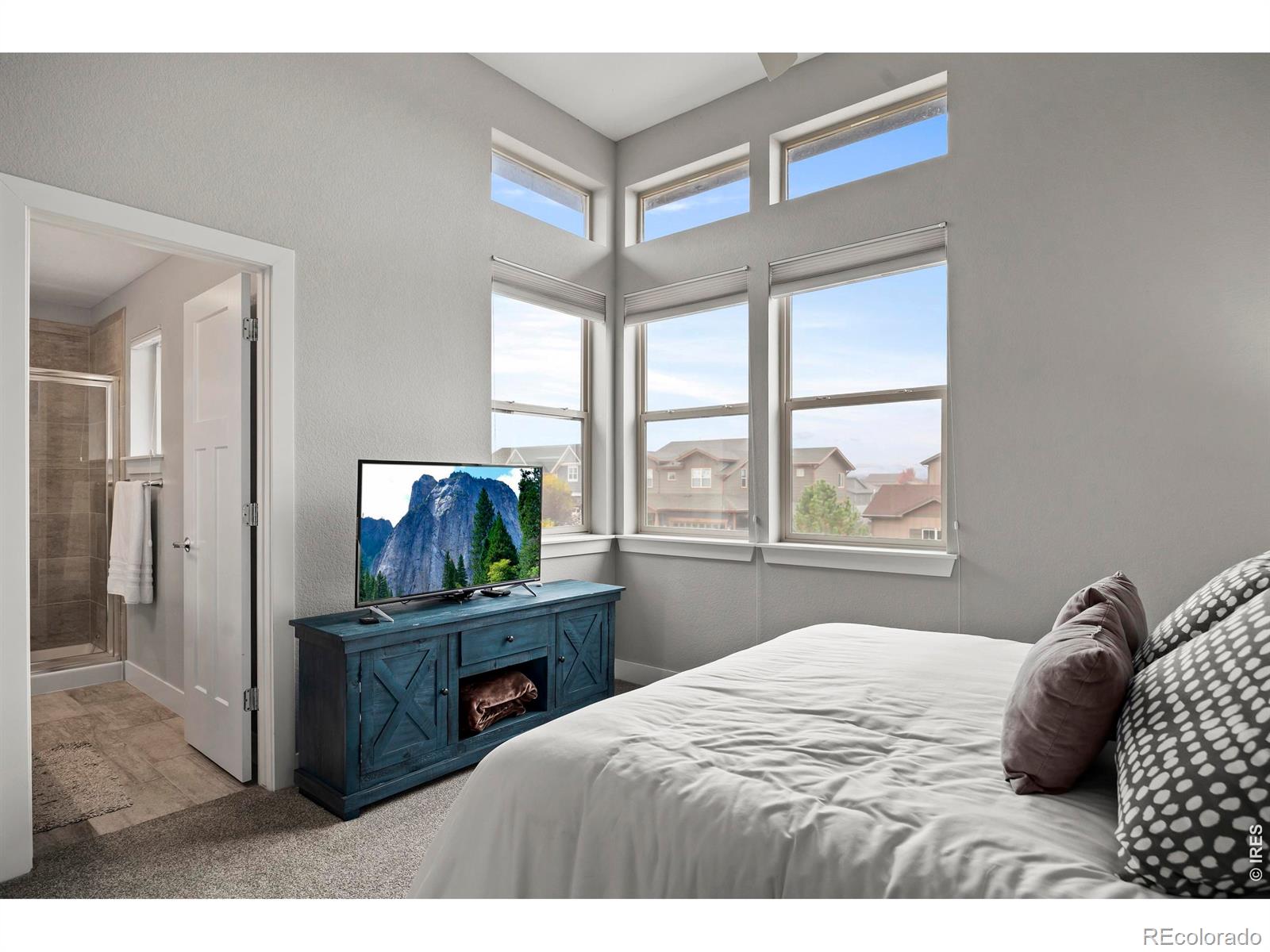MLS Image #24 for 2572  bluestem willow drive,loveland, Colorado