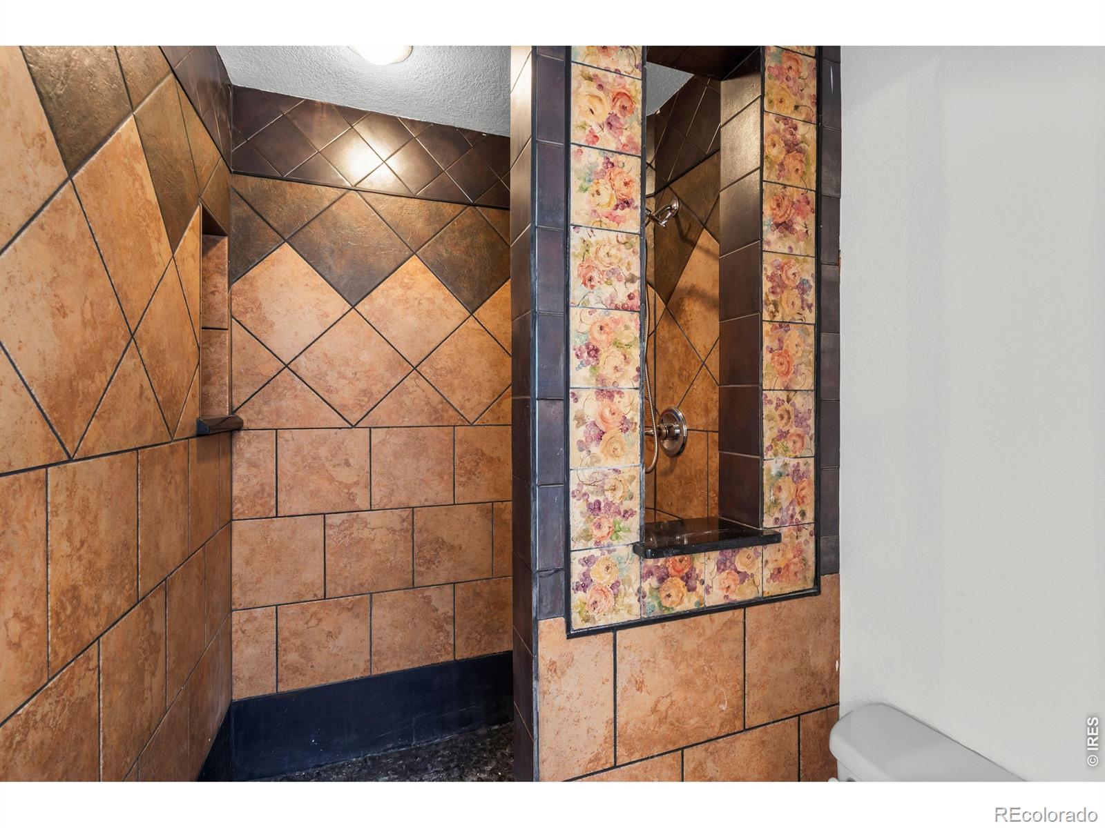 MLS Image #10 for 3500  swanstone drive,fort collins, Colorado