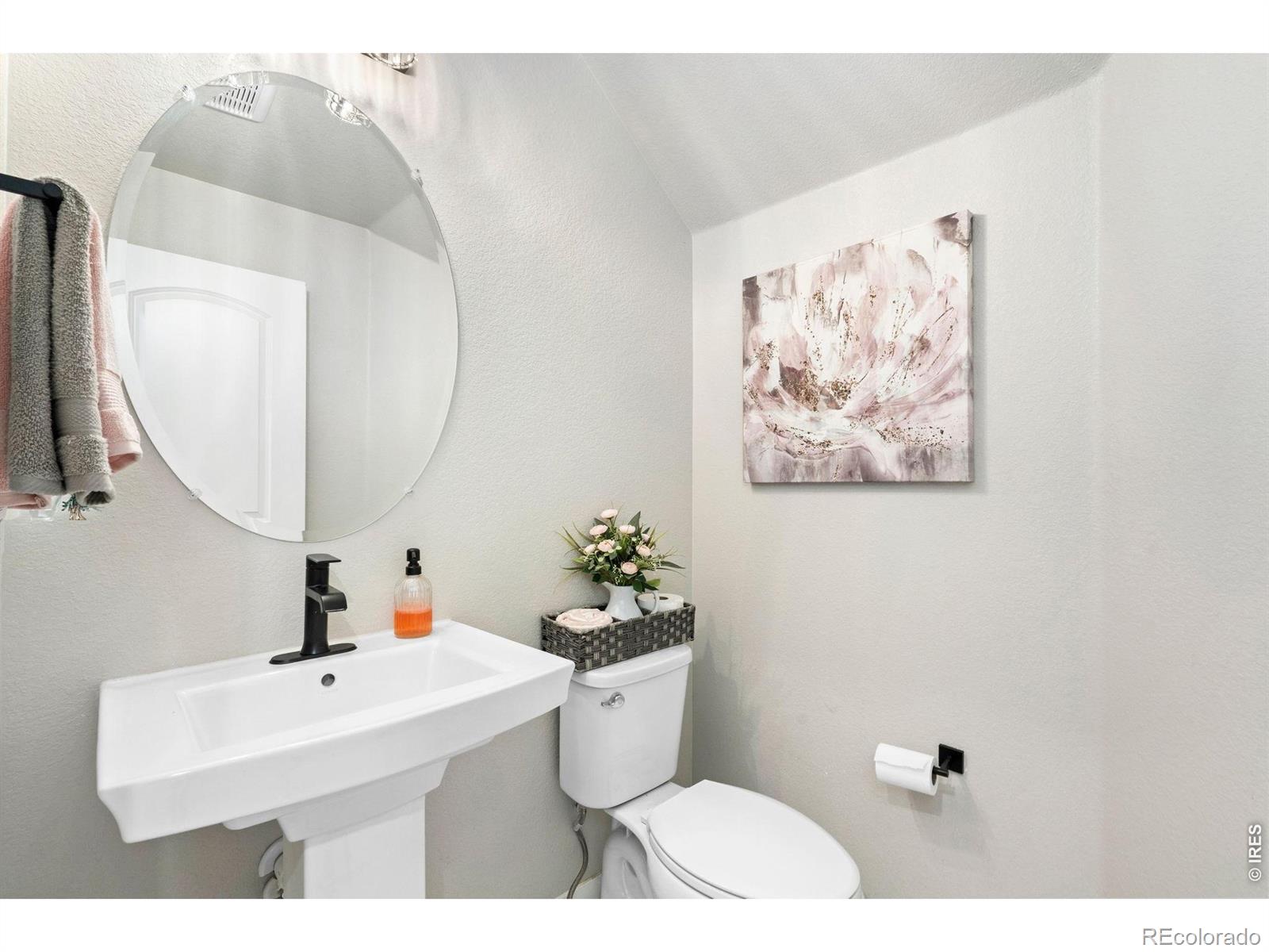 MLS Image #19 for 4433  haymill court,timnath, Colorado