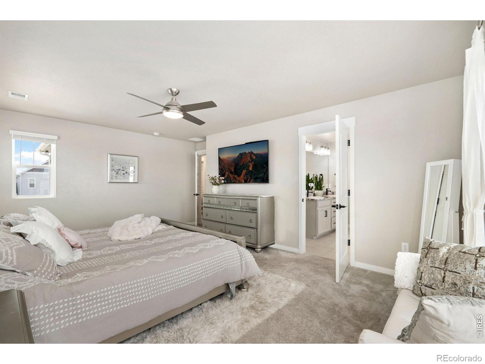 MLS Image #24 for 4433  haymill court,timnath, Colorado