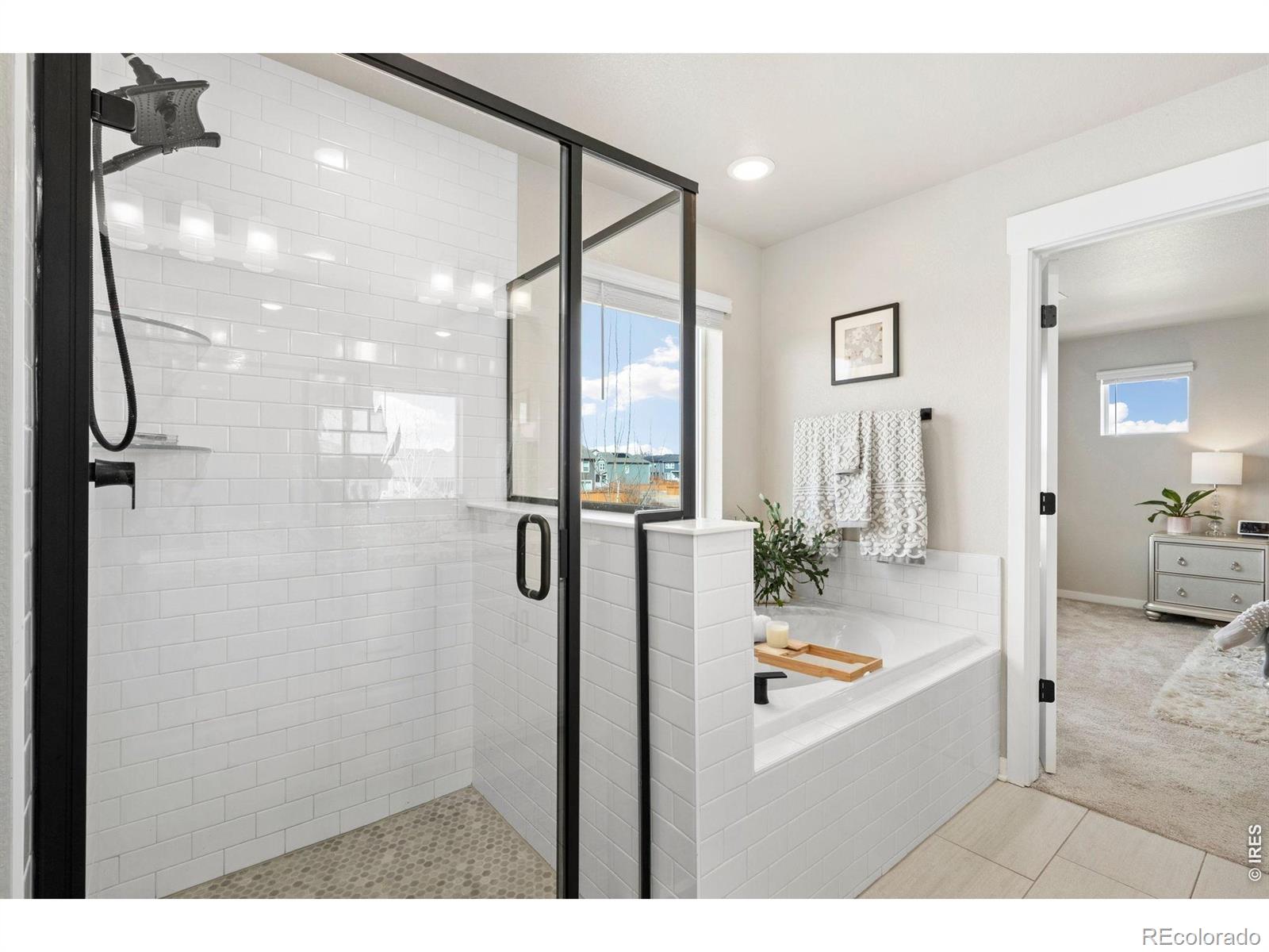 MLS Image #26 for 4433  haymill court,timnath, Colorado