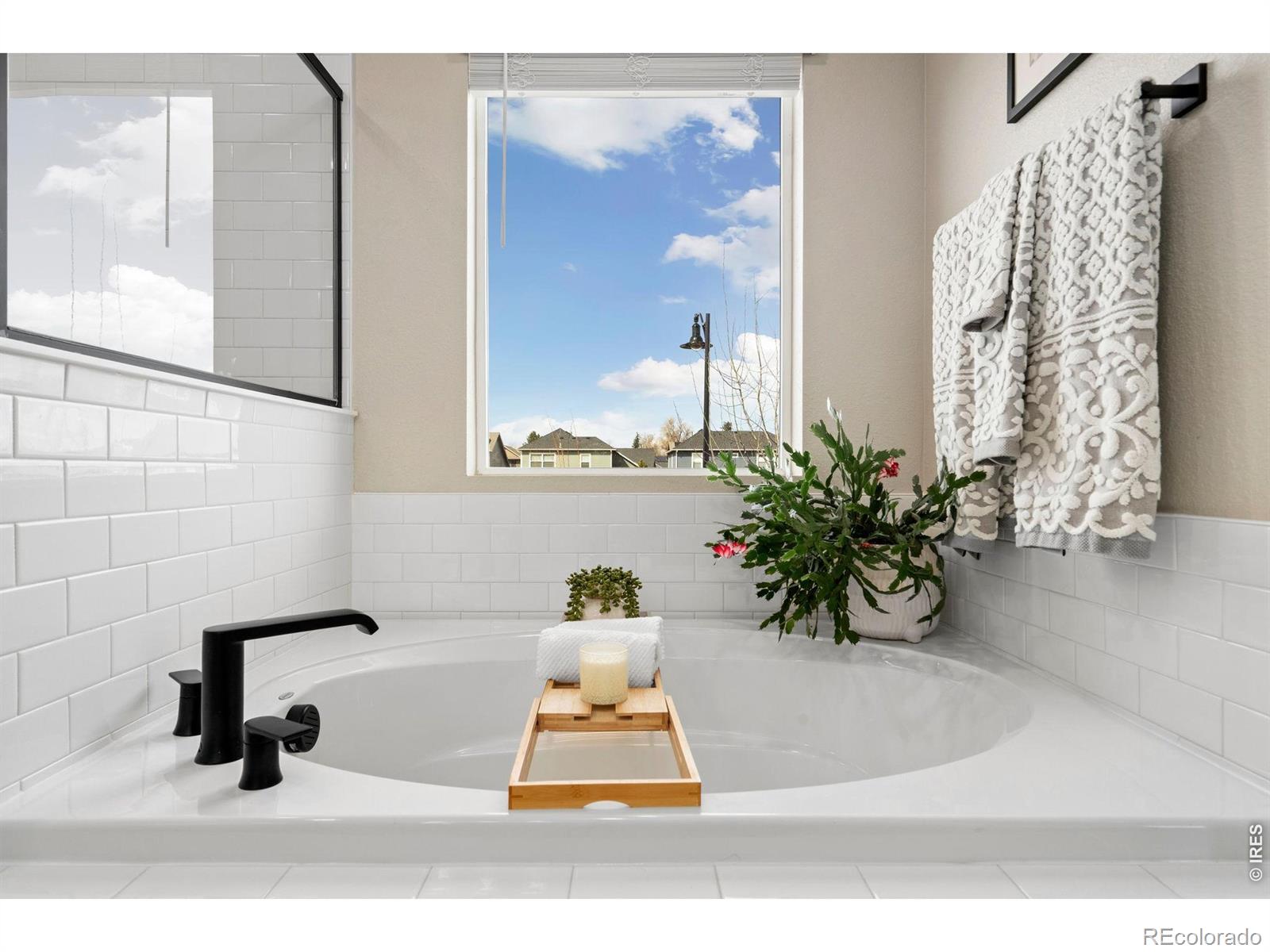 MLS Image #27 for 4433  haymill court,timnath, Colorado