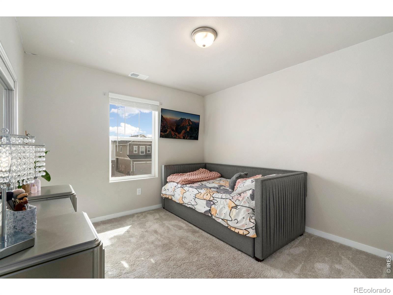 MLS Image #30 for 4433  haymill court,timnath, Colorado