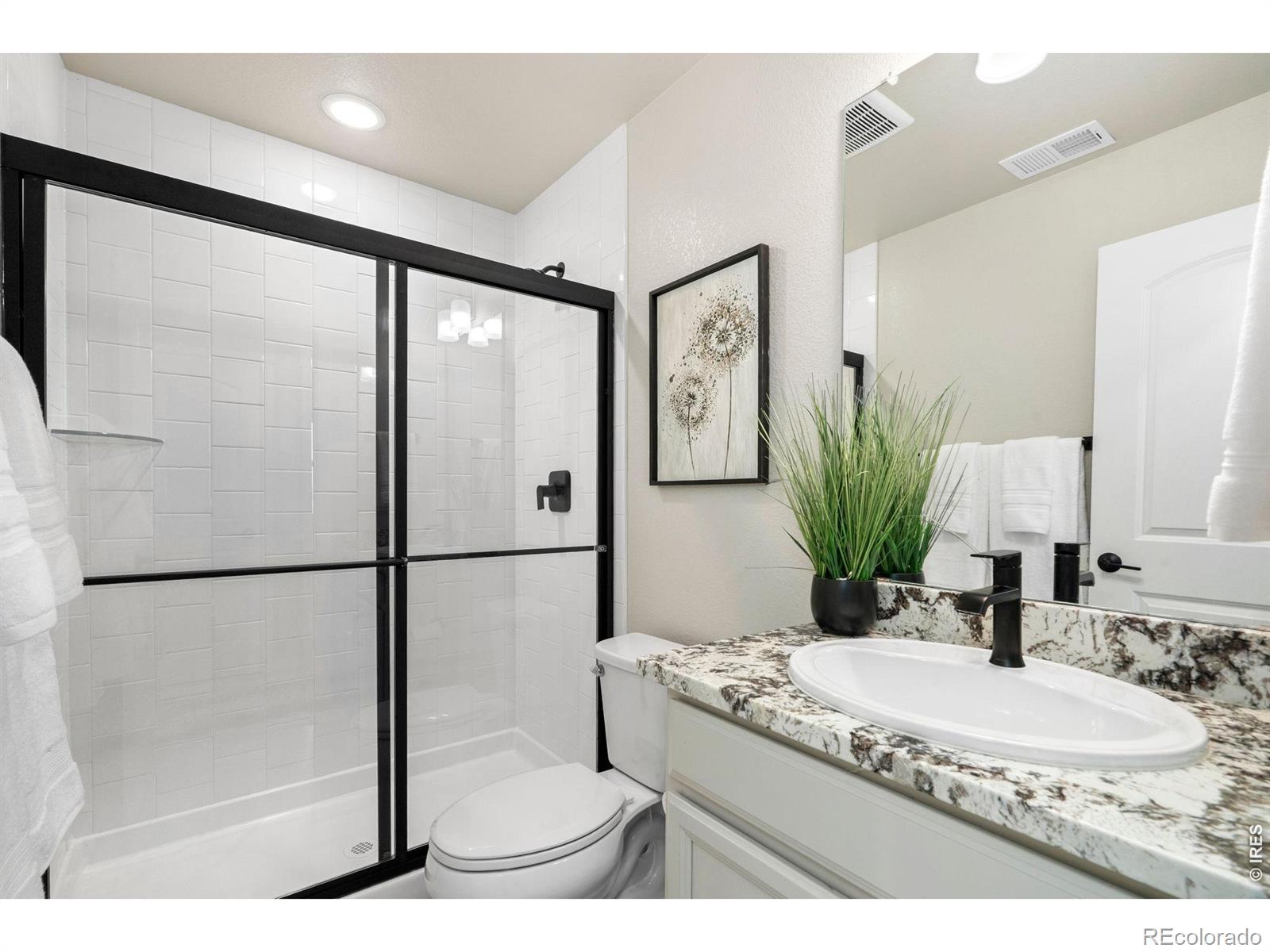 MLS Image #33 for 4433  haymill court,timnath, Colorado