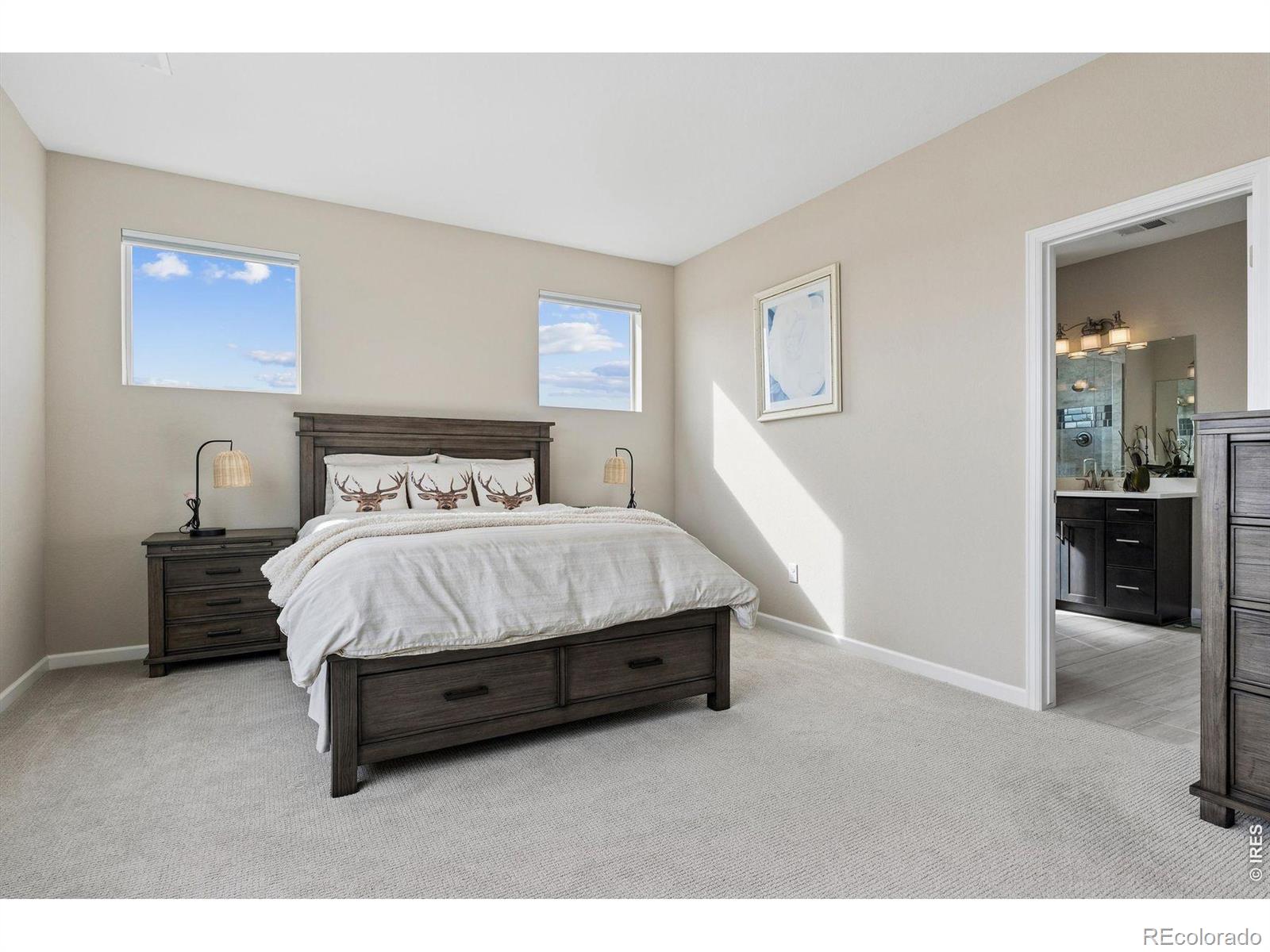 MLS Image #18 for 1910  high plains drive,longmont, Colorado